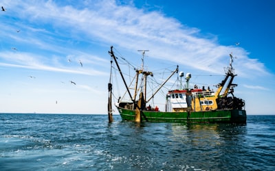 green and brown boat on sea under blue sky during daytime