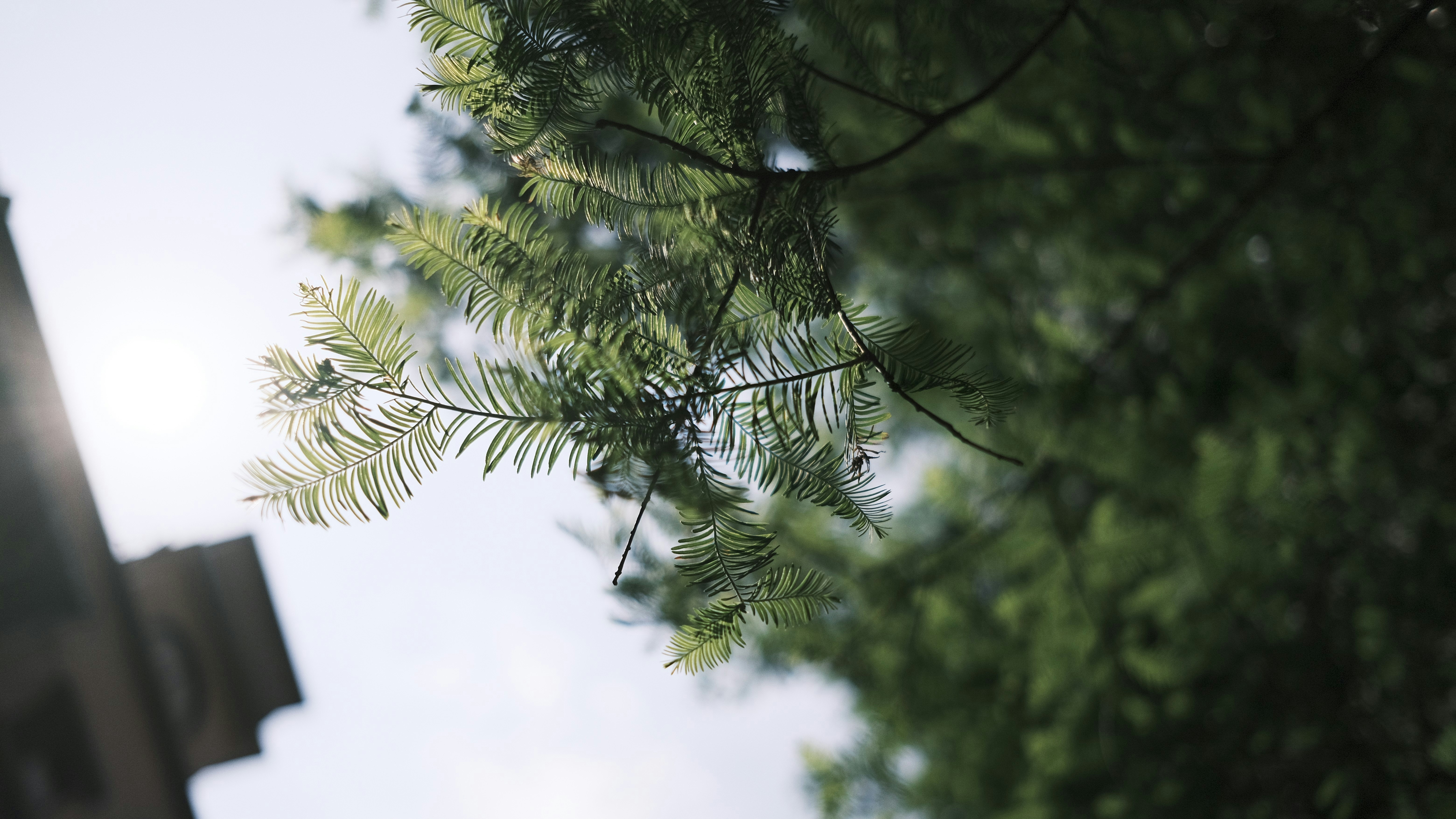 Photo by benjamin_1017