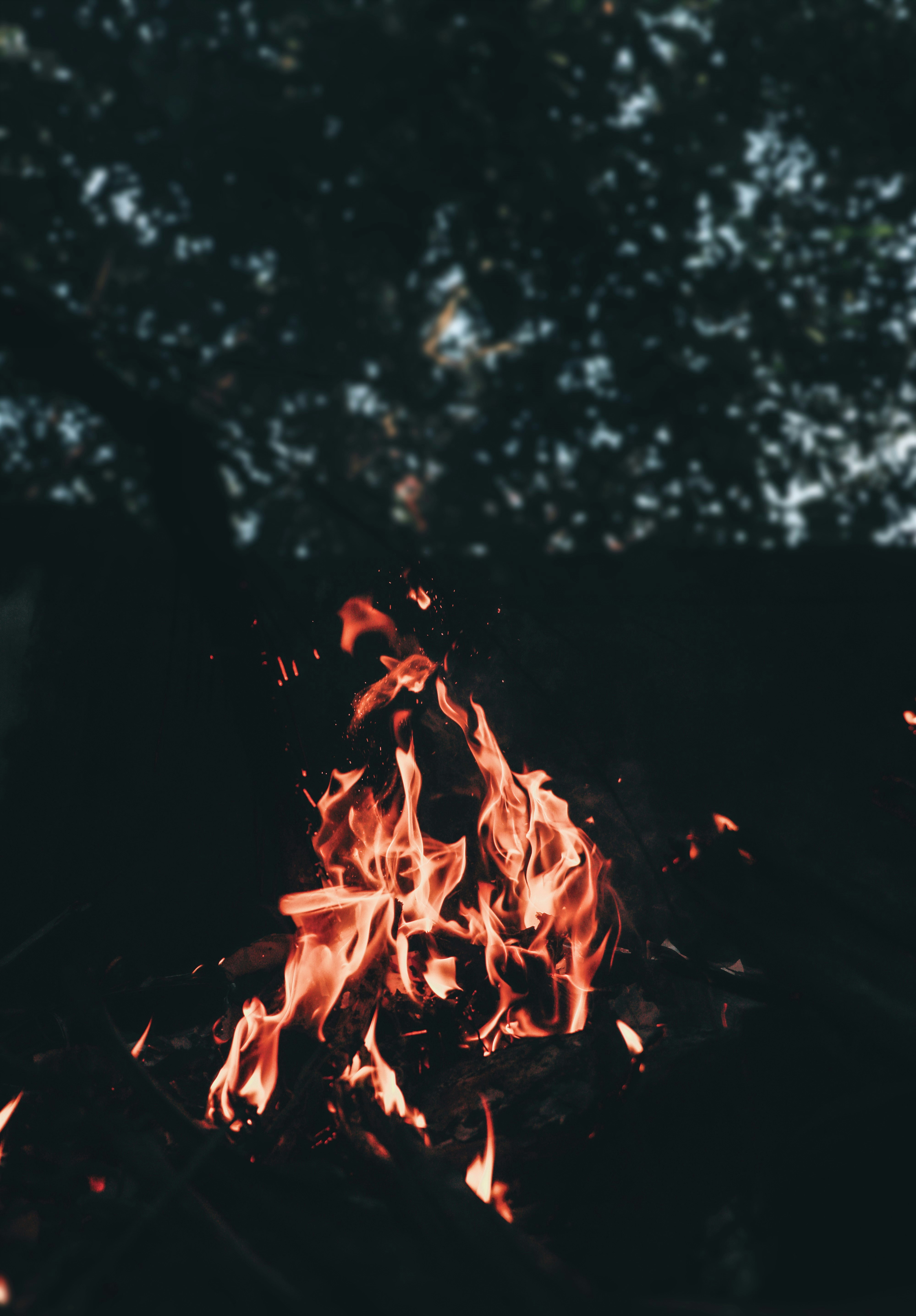 Photo by niranjan_photographs