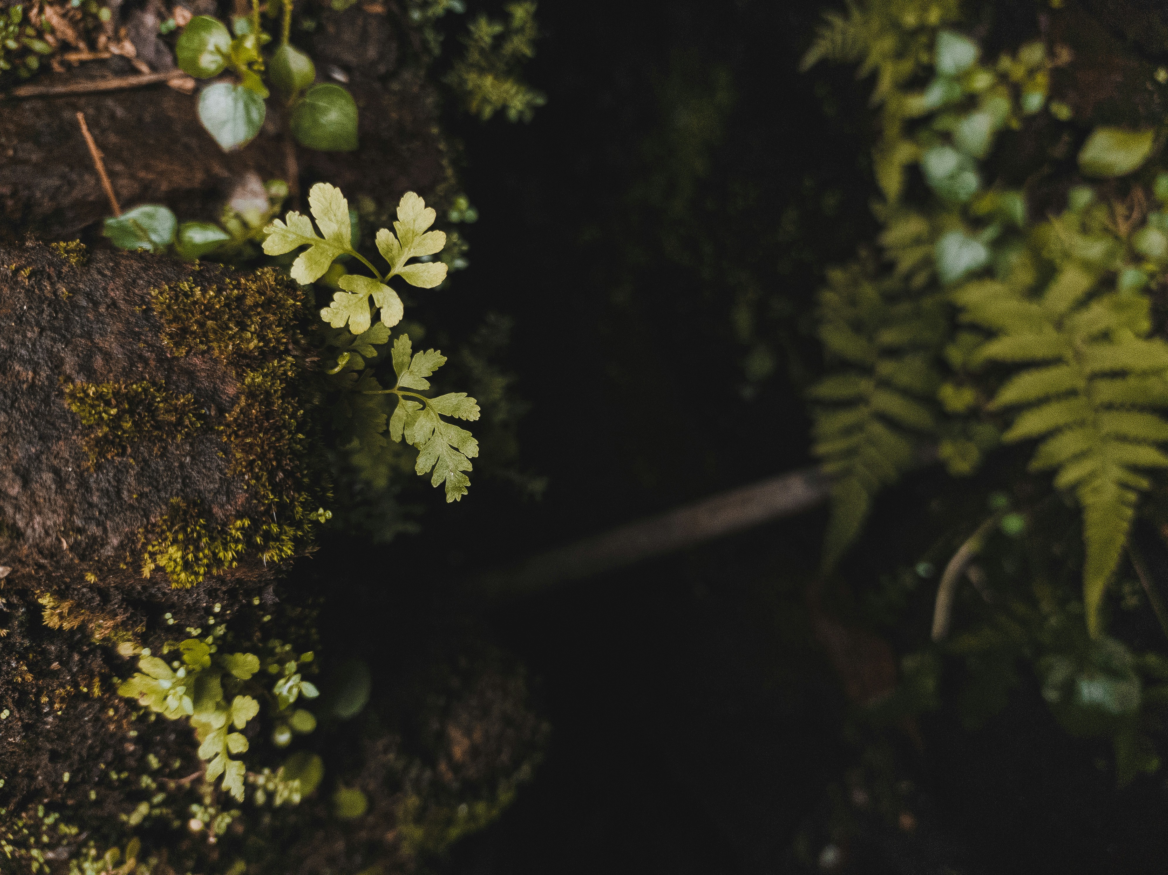 Photo by auinirosenfeld