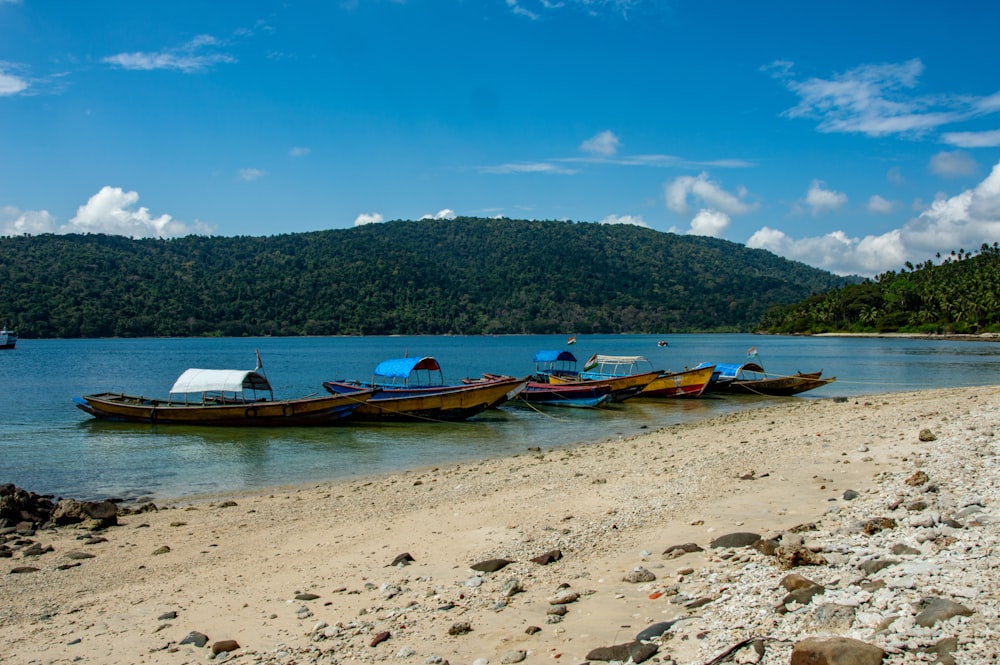 red and white boat on beach during daytime