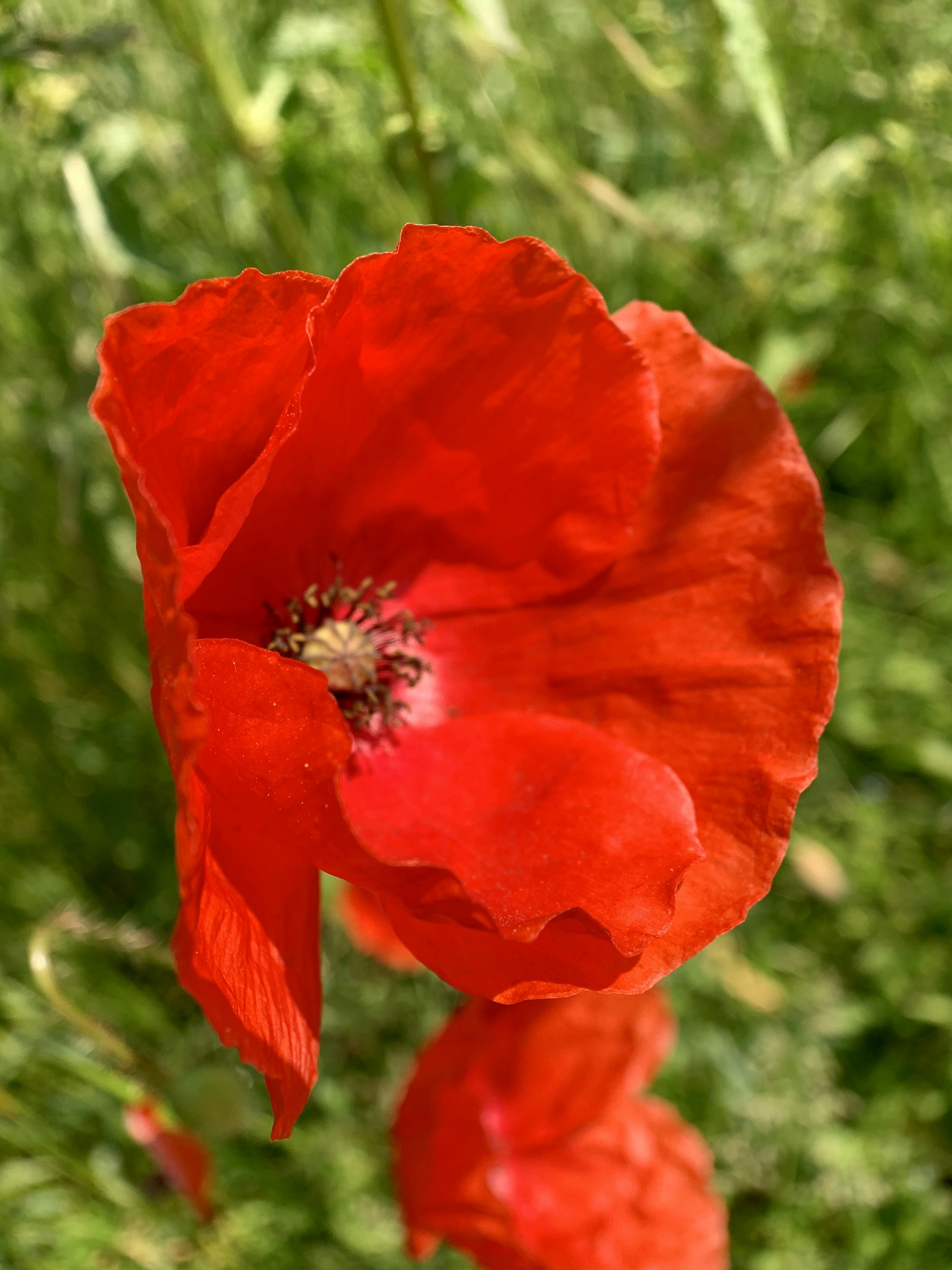 Photo by annie_kramer74