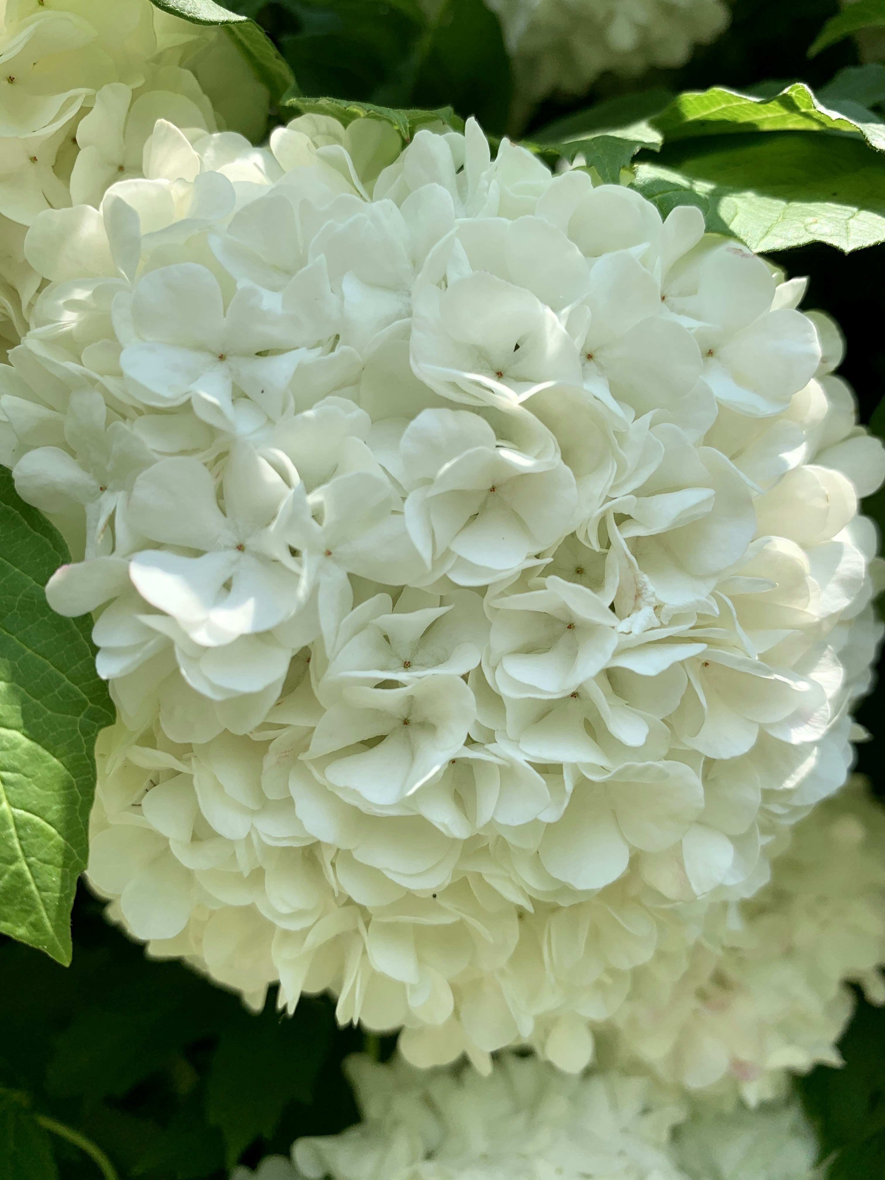 Photo by annie_kramer74