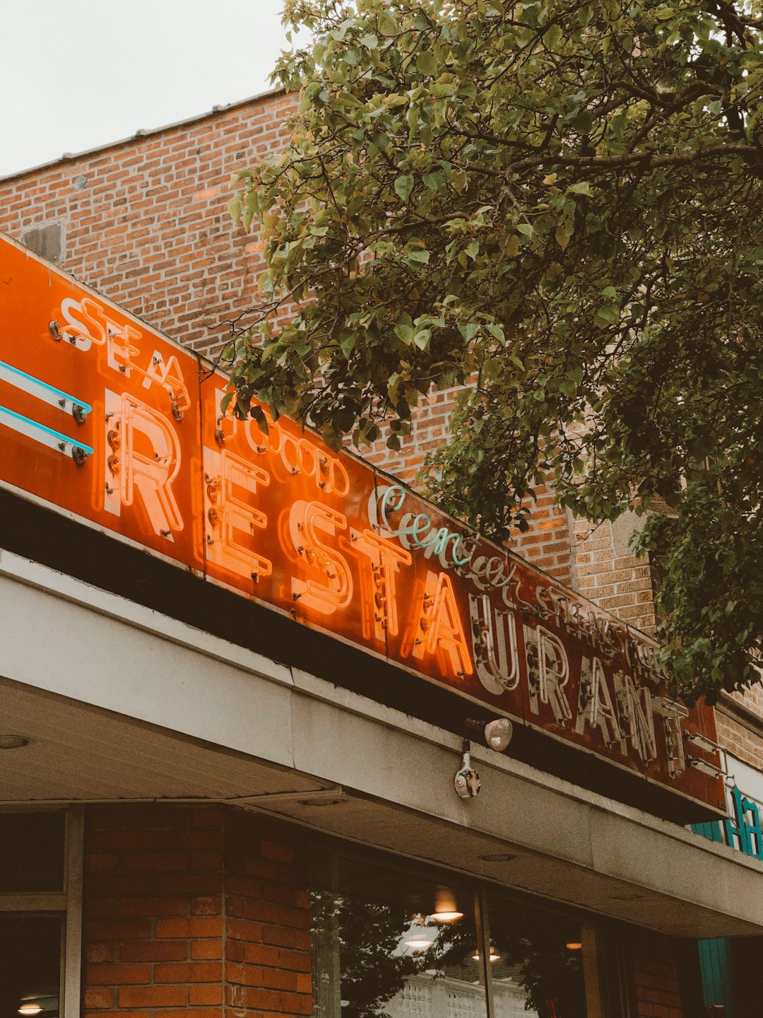 orange and white concrete building near green tree during daytime