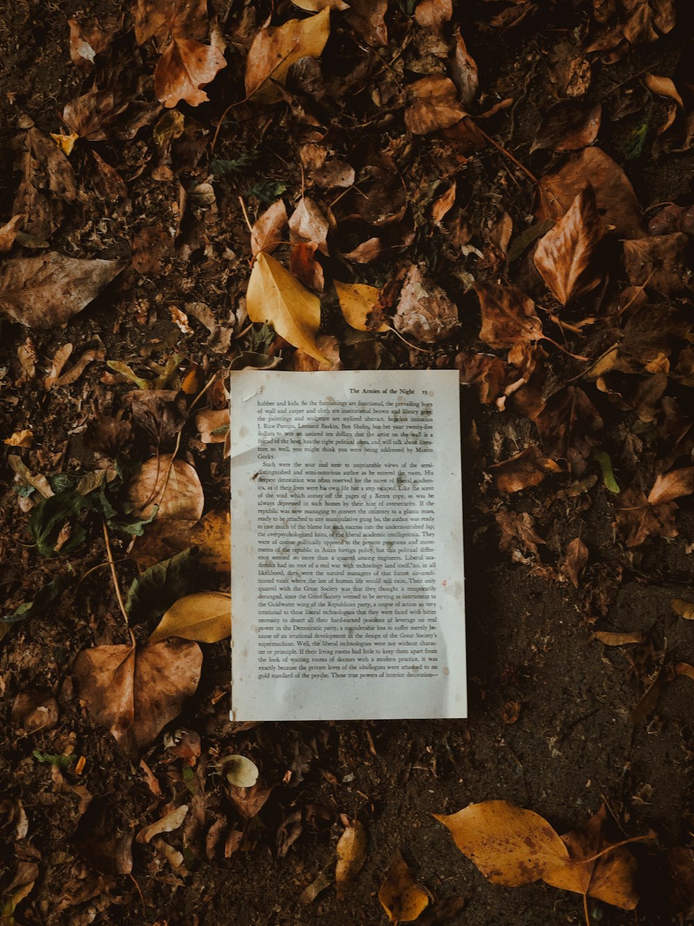 white book page on brown dried leaves