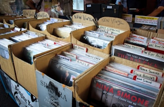 Multiple cardboard boxes filled with vinyl records are organized on tabletops. Each box has handwritten labels indicating categories of music or artists, such as Bob Dylan, The Rat Pack, and Nina Simone. The setting appears to be an indoor market or music fair.