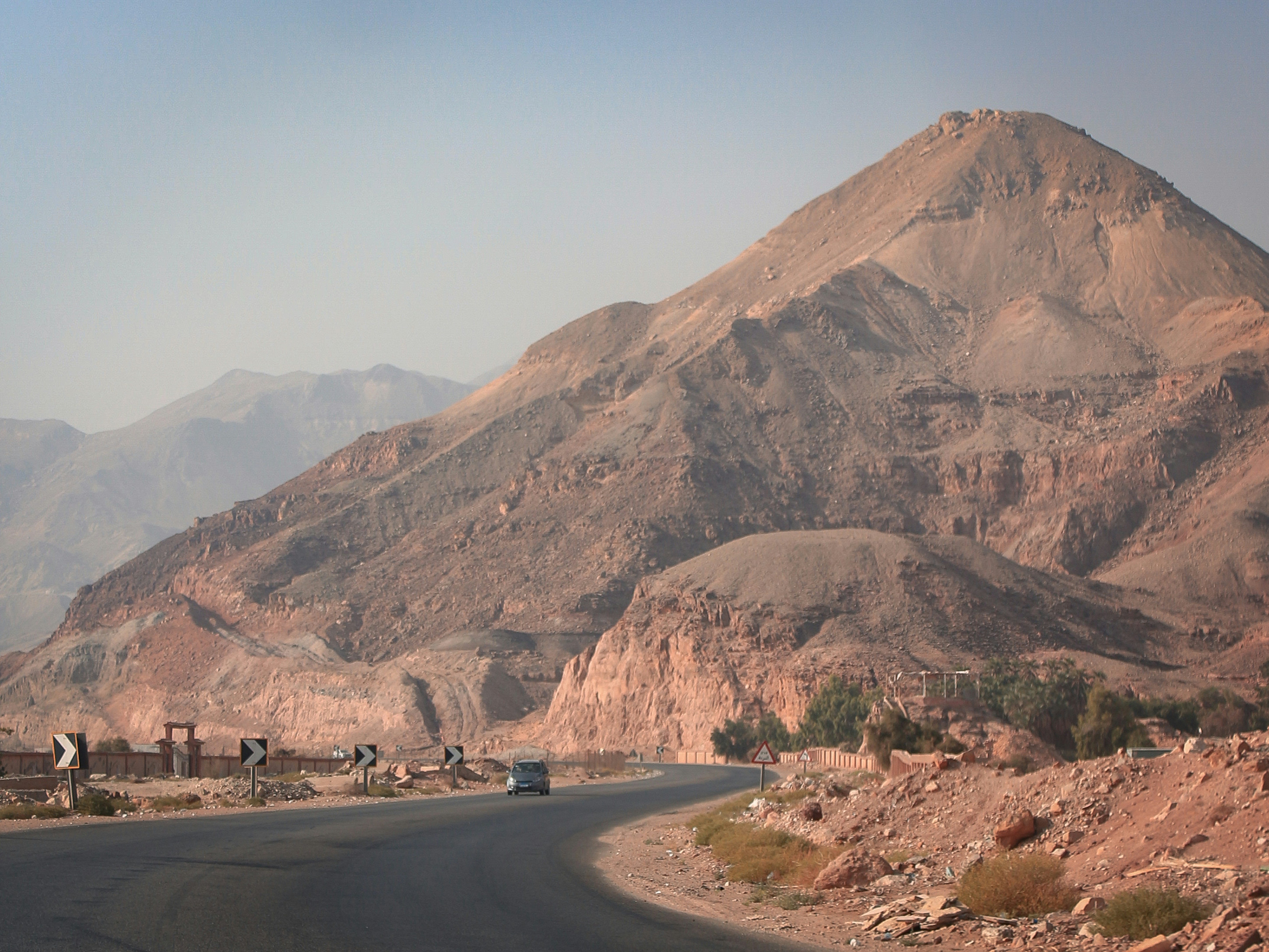 ترامپ راس اولبریکت بنیانگذار سیلک رود را عفو کرد