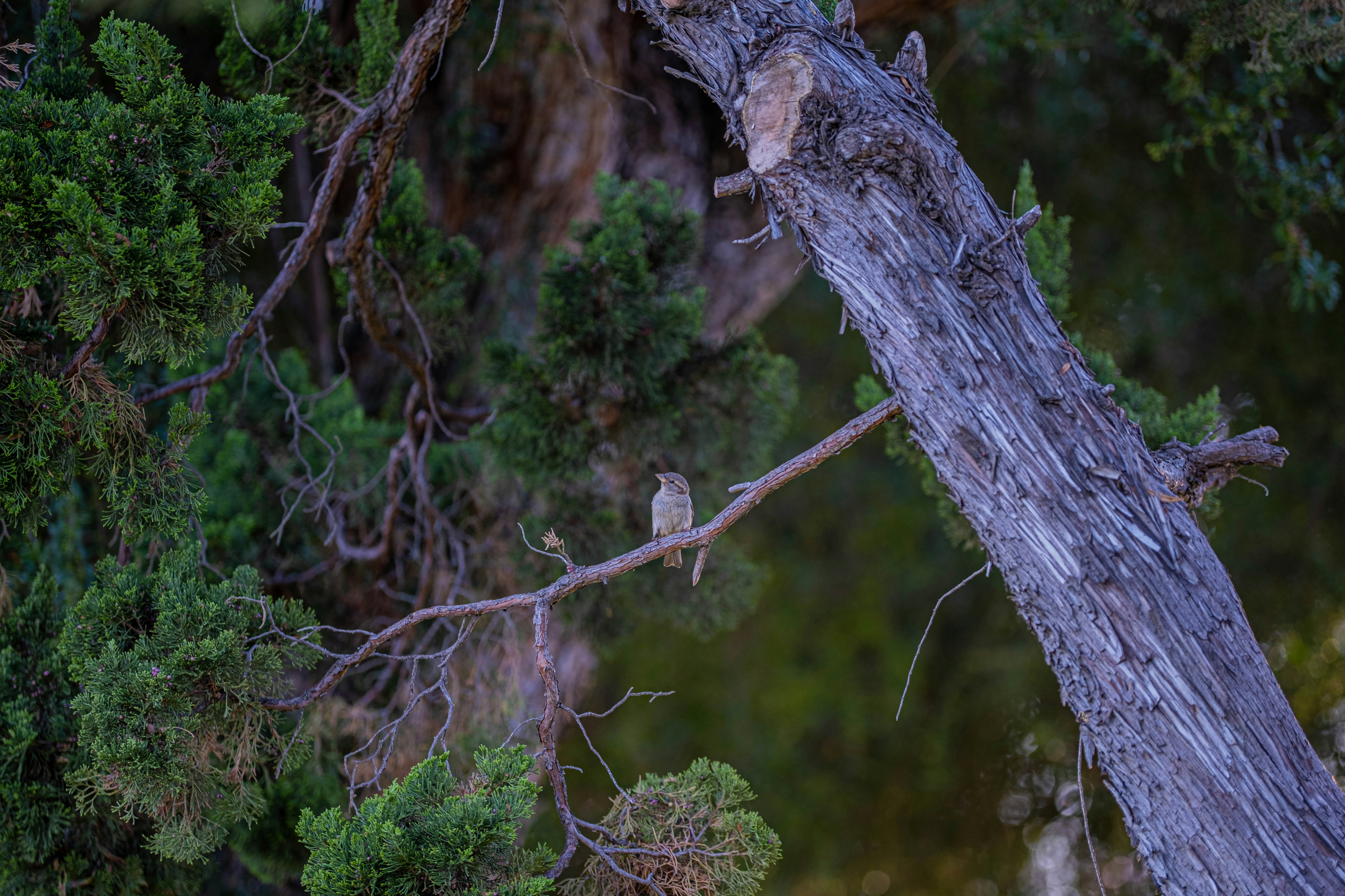 Photo by lrtphotographer