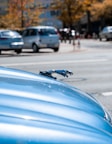 blue car on road during daytime