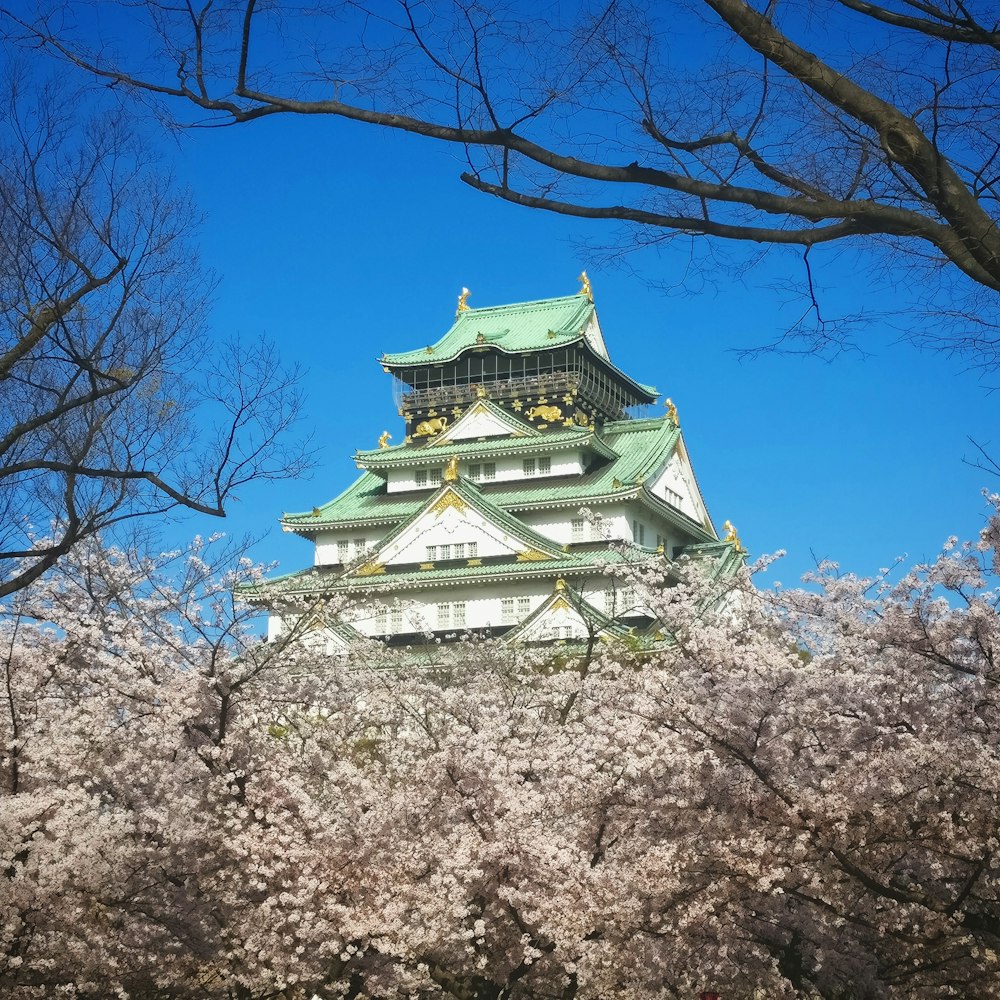 white and green temple under blue sky during daytime