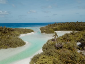 A sunlit turquoise lagoon framed by lush green palm trees on Nosy Be island