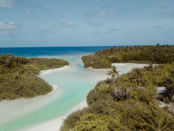 A serene tropical landscape features a crystal-clear turquoise lagoon surrounded by lush greenery and palm trees. The bright blue ocean stretches out to the horizon under a partly cloudy sky.