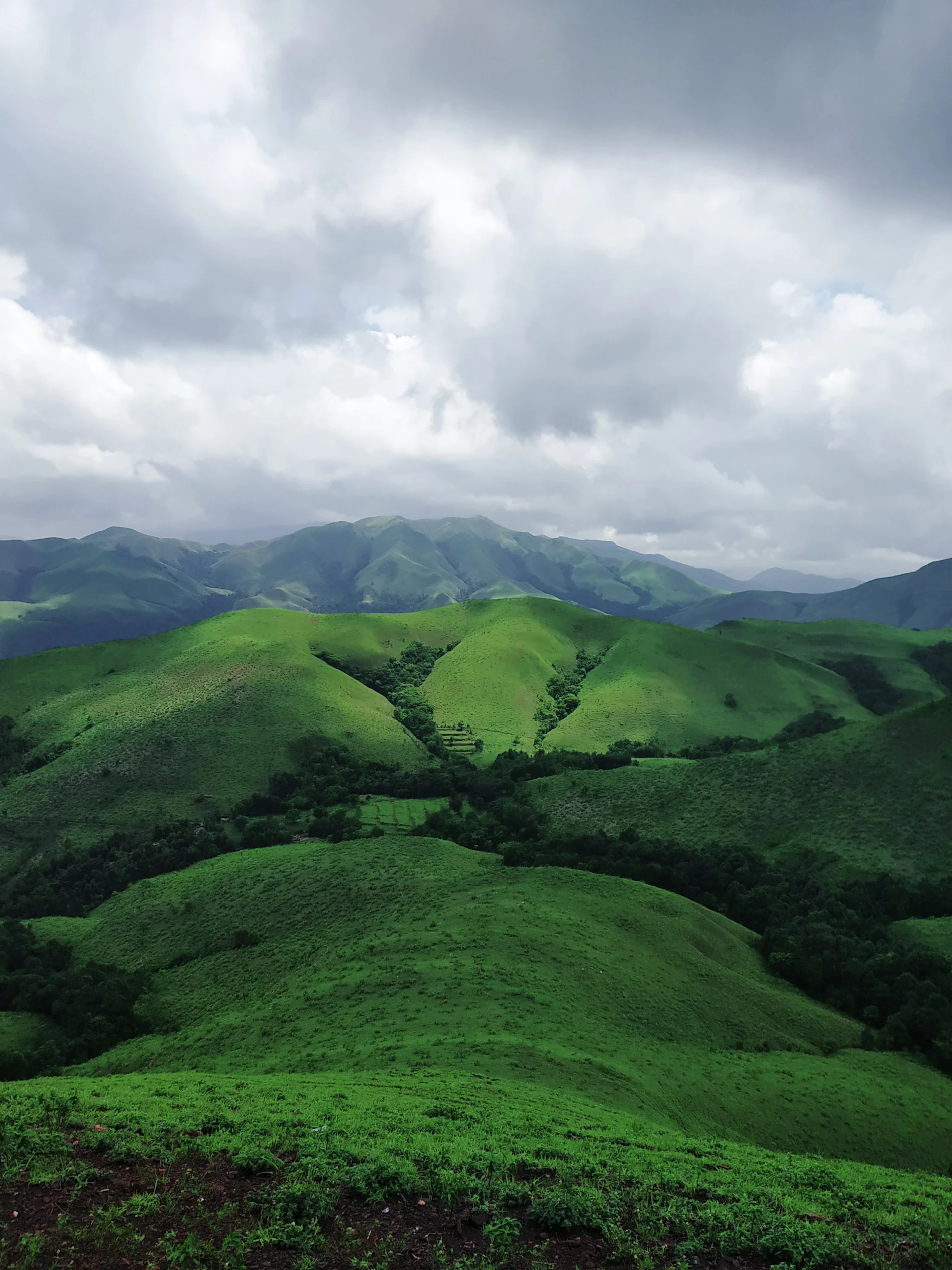 Misty green mountains in nature at dawn
