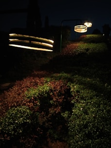 A nighttime scene with illuminated circular lights positioned over a garden. The lights cast a warm glow on the lush greenery and create a path leading up a small hill. The surrounding area is dark, amplifying the contrast of the glowing lights against the night.