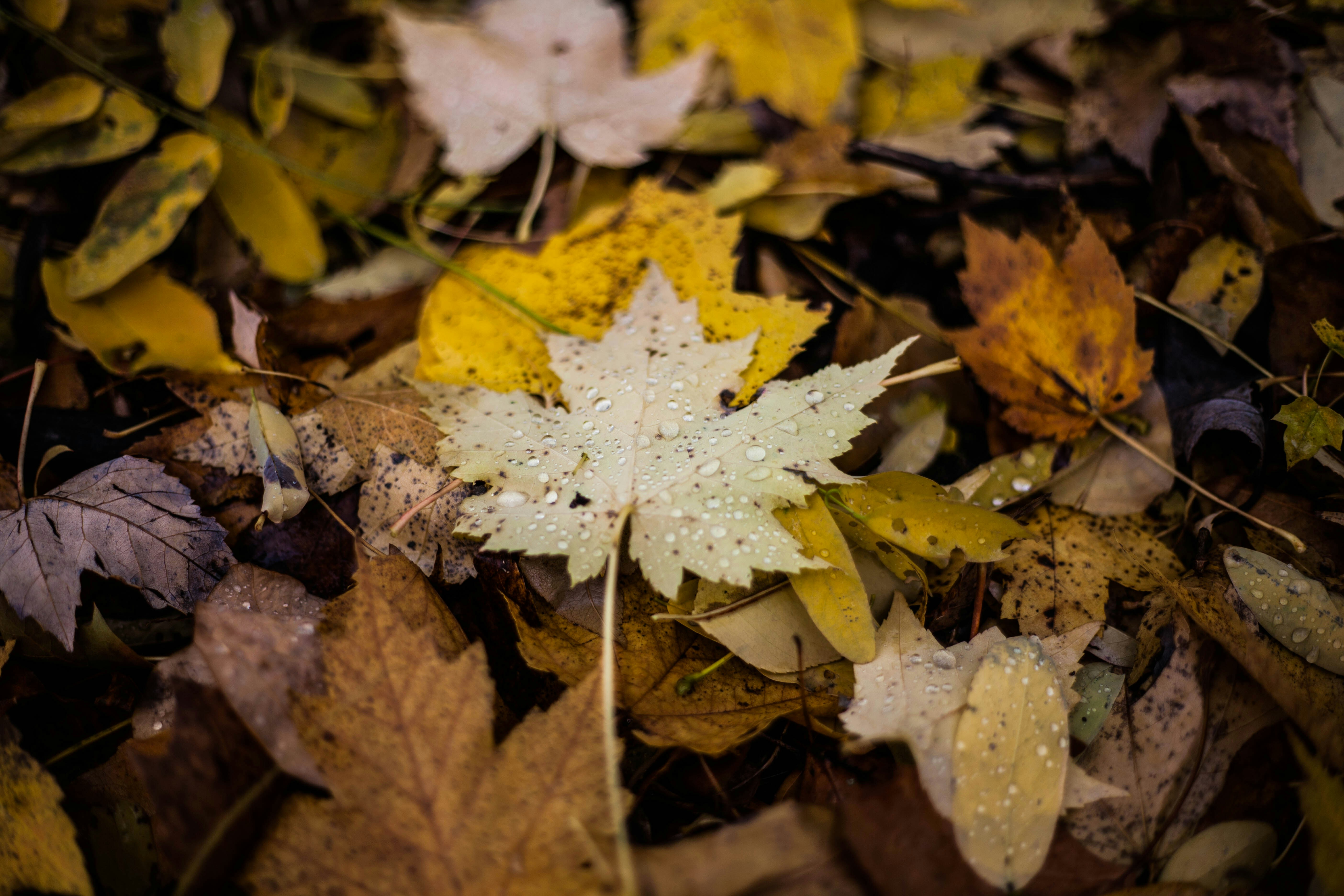 Photo by benjamin_deyoung