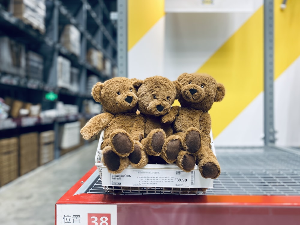 brinquedo de pelúcia do urso marrom na caixa branca e vermelha