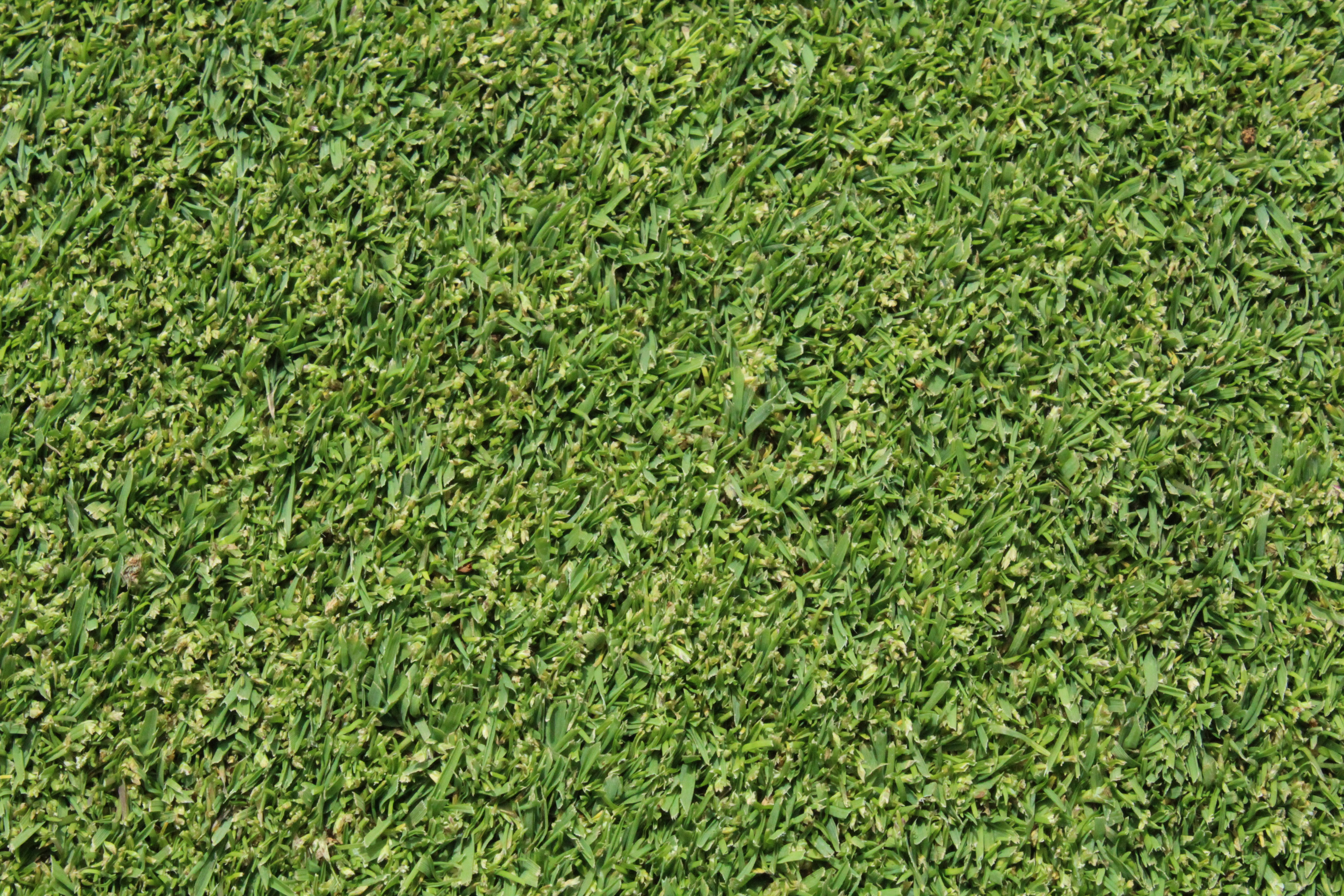 Photo by tristinhanna