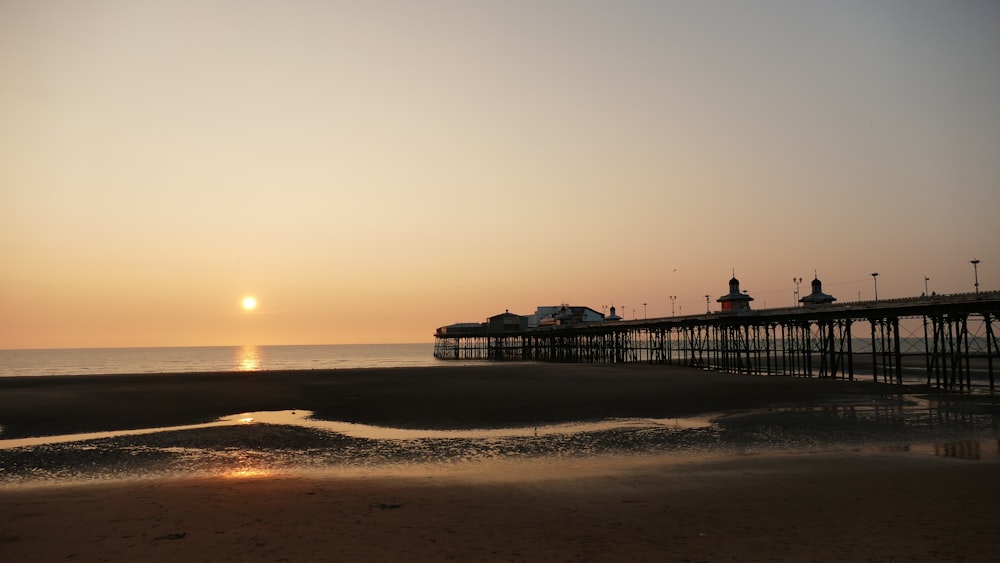 silhouette of people on beach during sunset