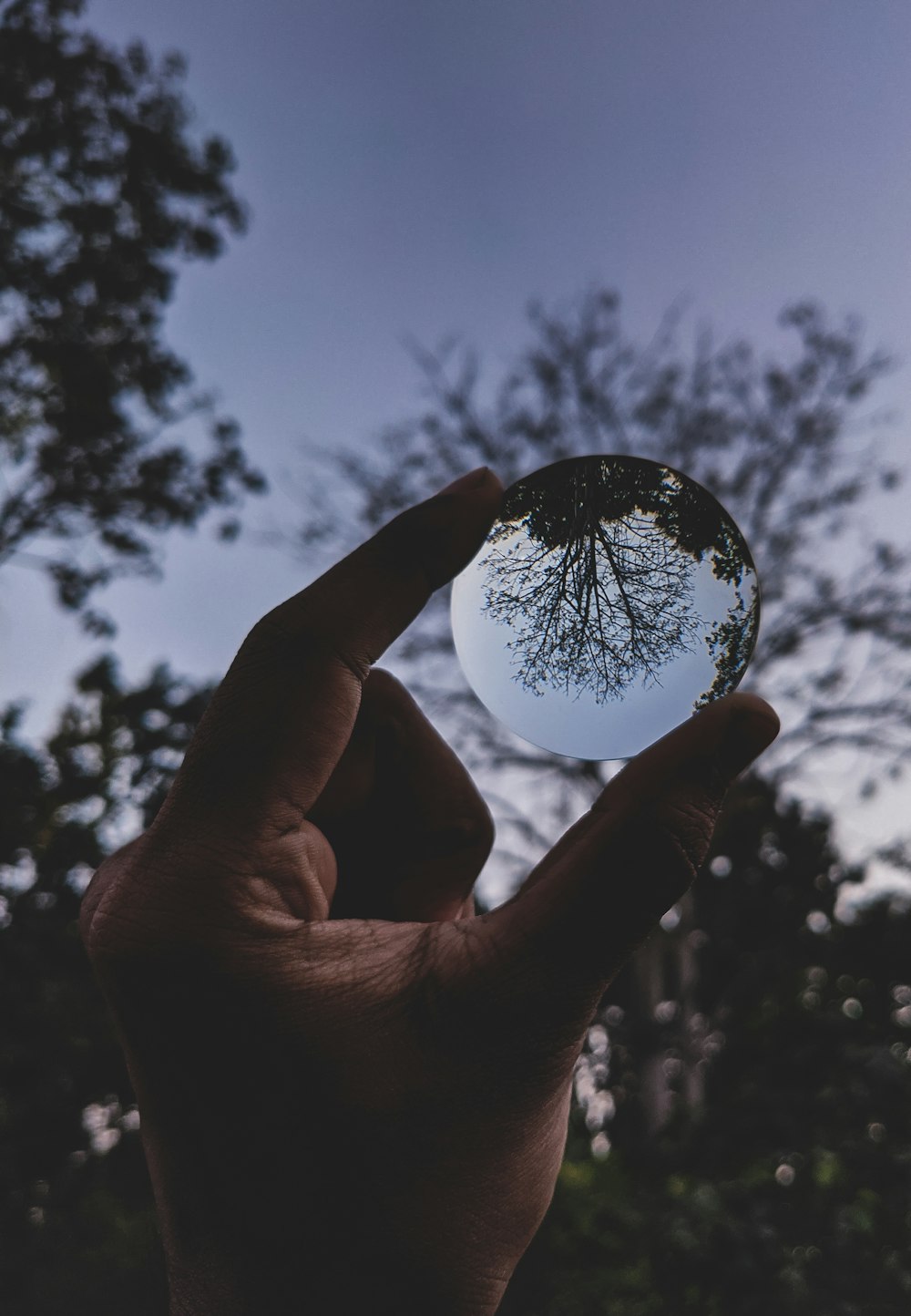 person holding clear glass ball