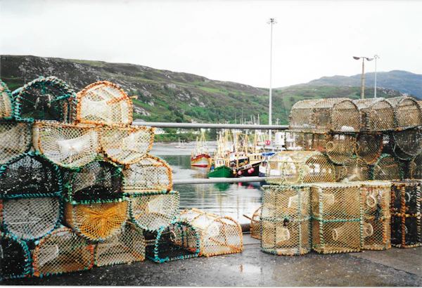 Creels on a Scottish harbour