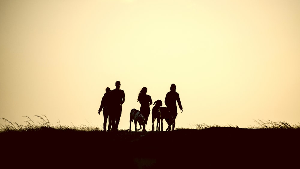 silhouette de personnes marchant sur le champ d’herbe pendant la journée