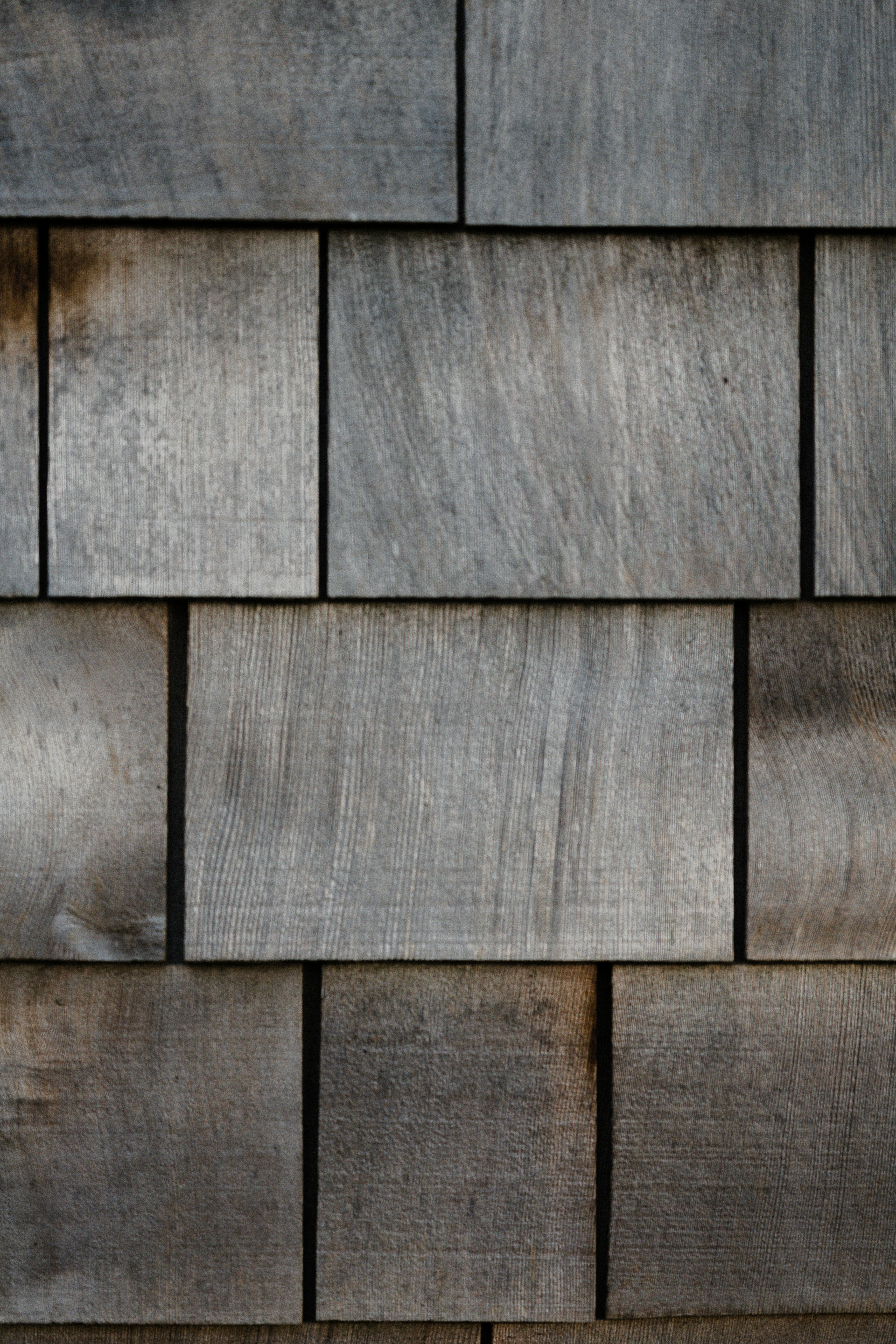 Photo by anniespratt