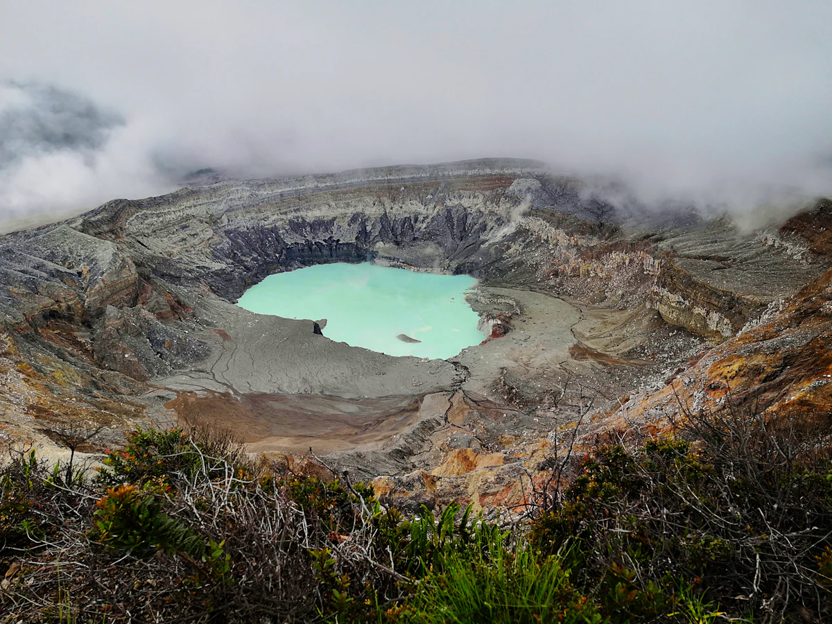 Costa Rica cloud forest nature and biodiversity canopy