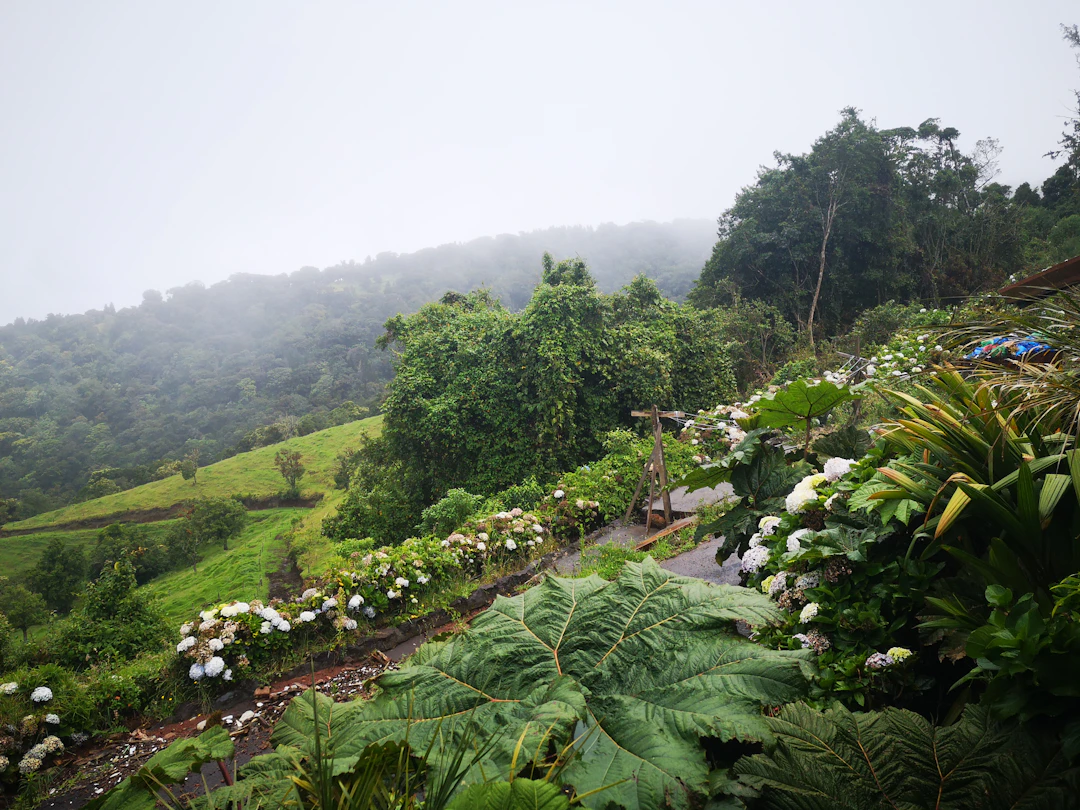 16-Day Costa Rica Budget Backpacking Itinerary