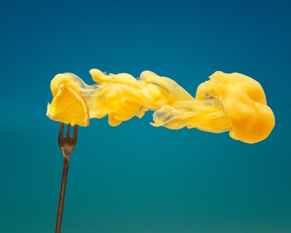 yellow flower in close up photography