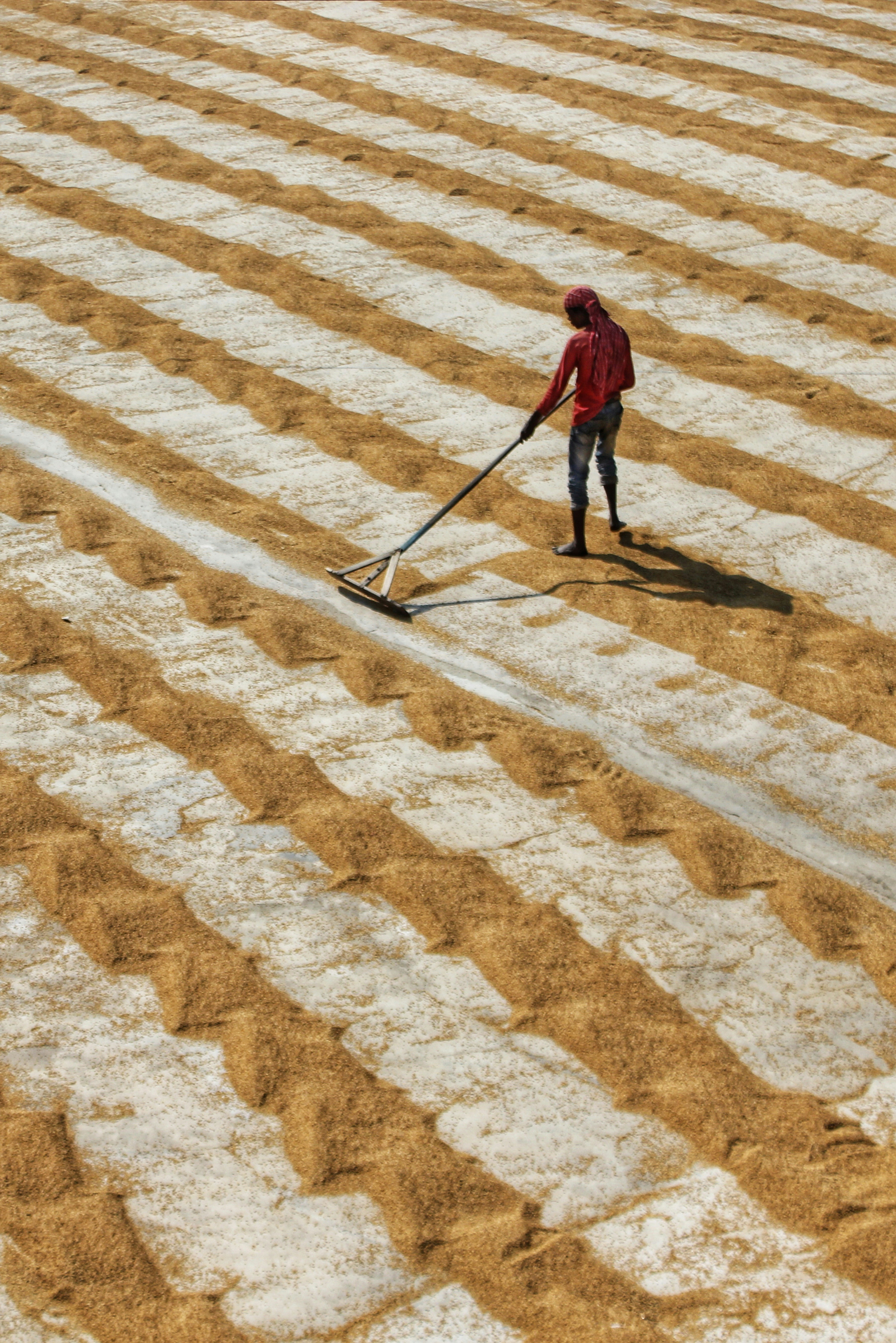 Photo by dibakar16roy