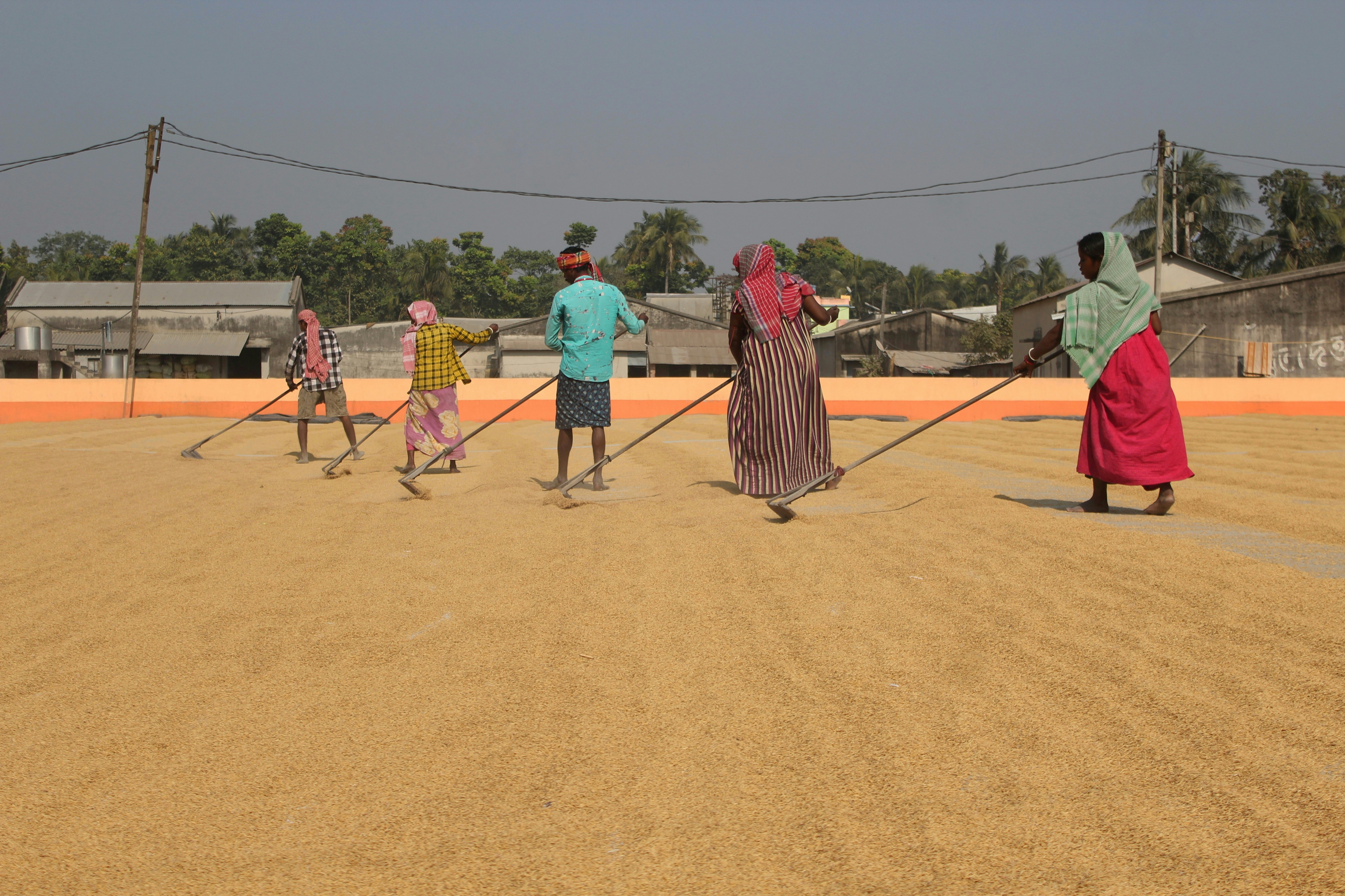 Un grupo de personas de pie en la cima de un campo de tierra
