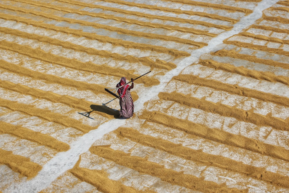 brown and black insect on yellow and white textile