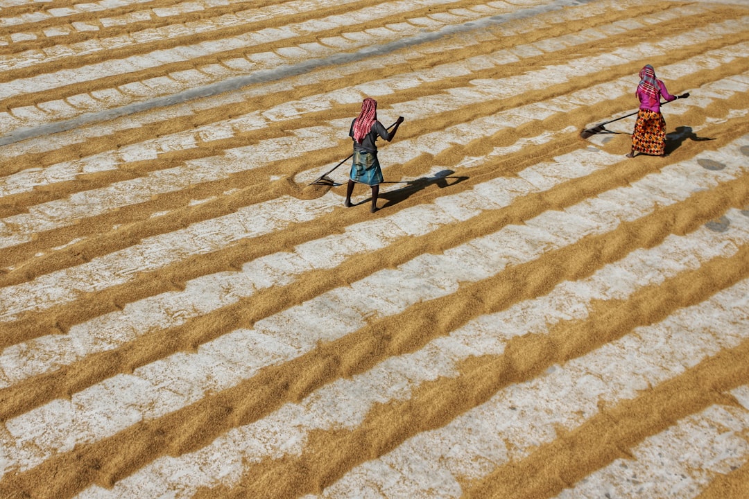 woman in pink jacket walking on brown and white stripe carpet