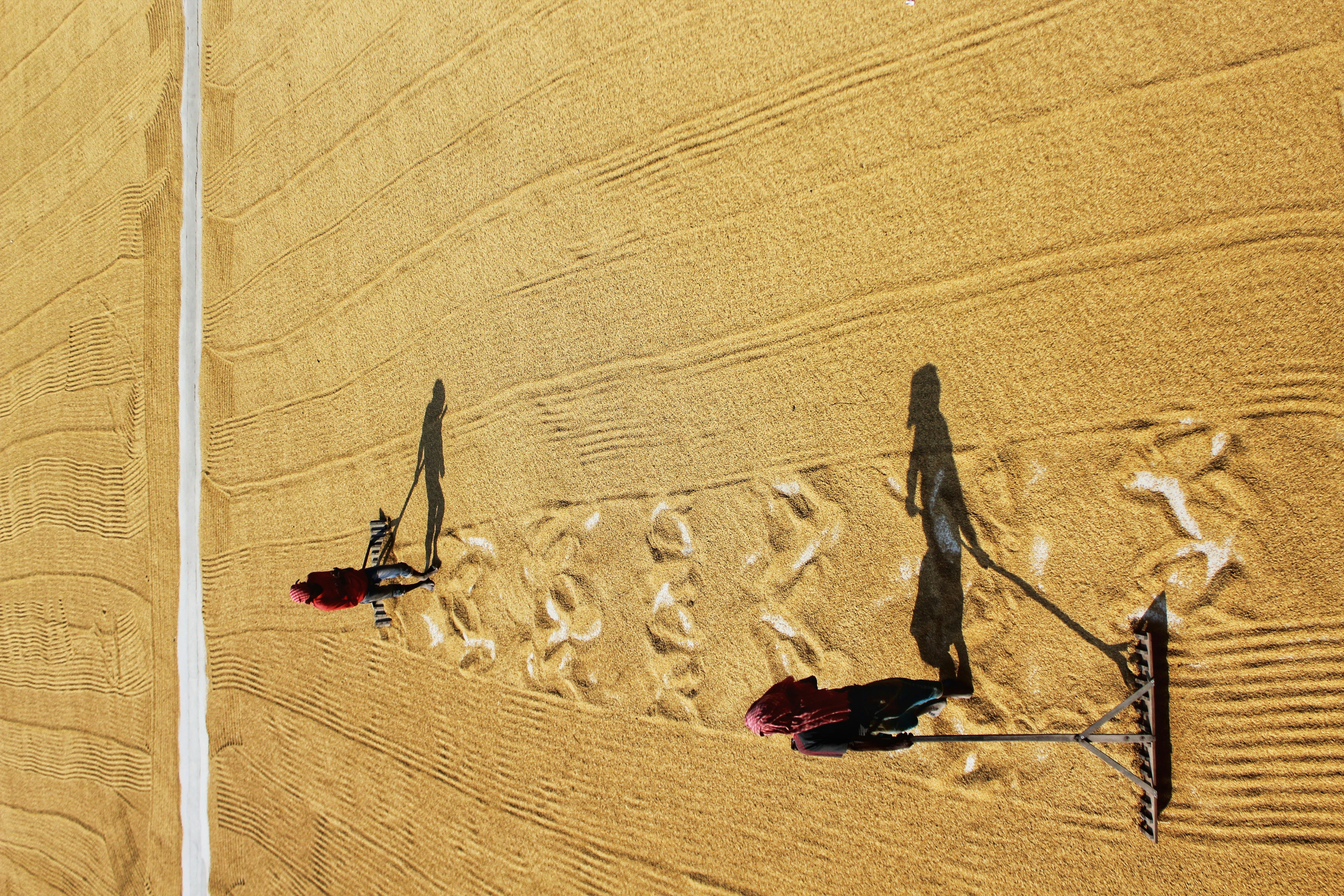 Crimson Desert Intel ARC Wishes: Fans Share Hope & Strength