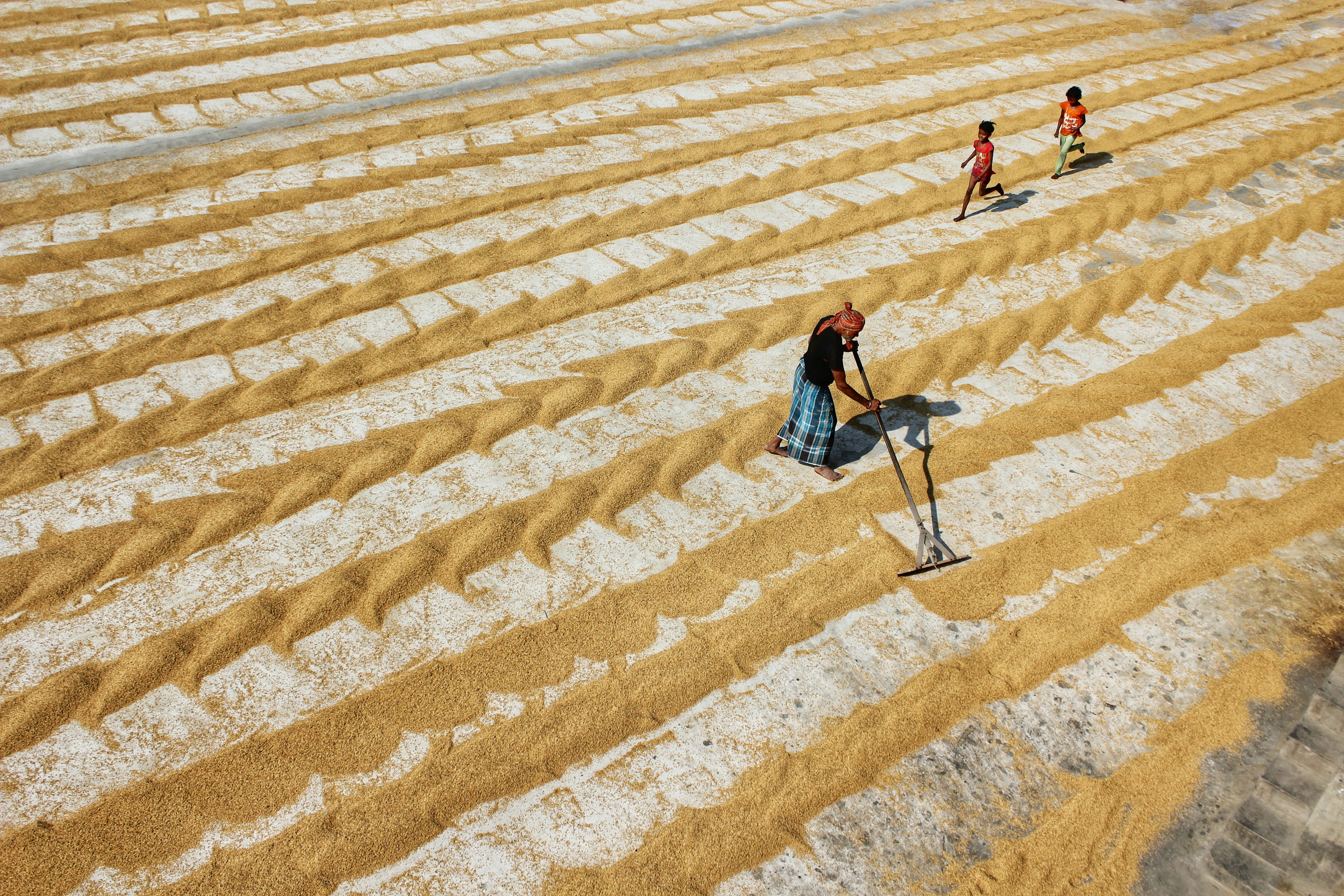 Photo by dibakar16roy