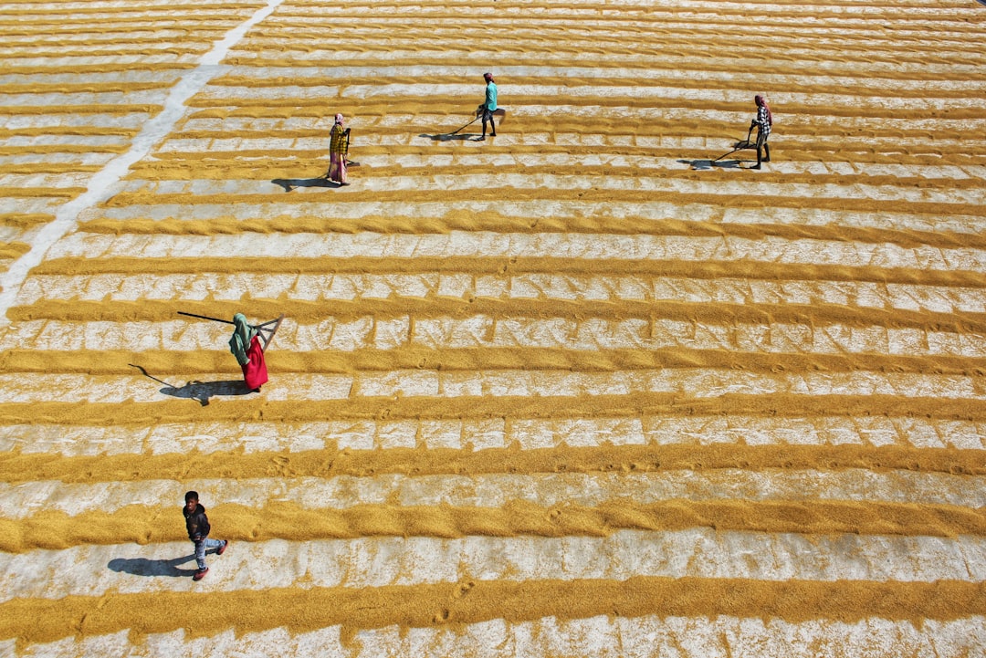 people walking on brown concrete stairs