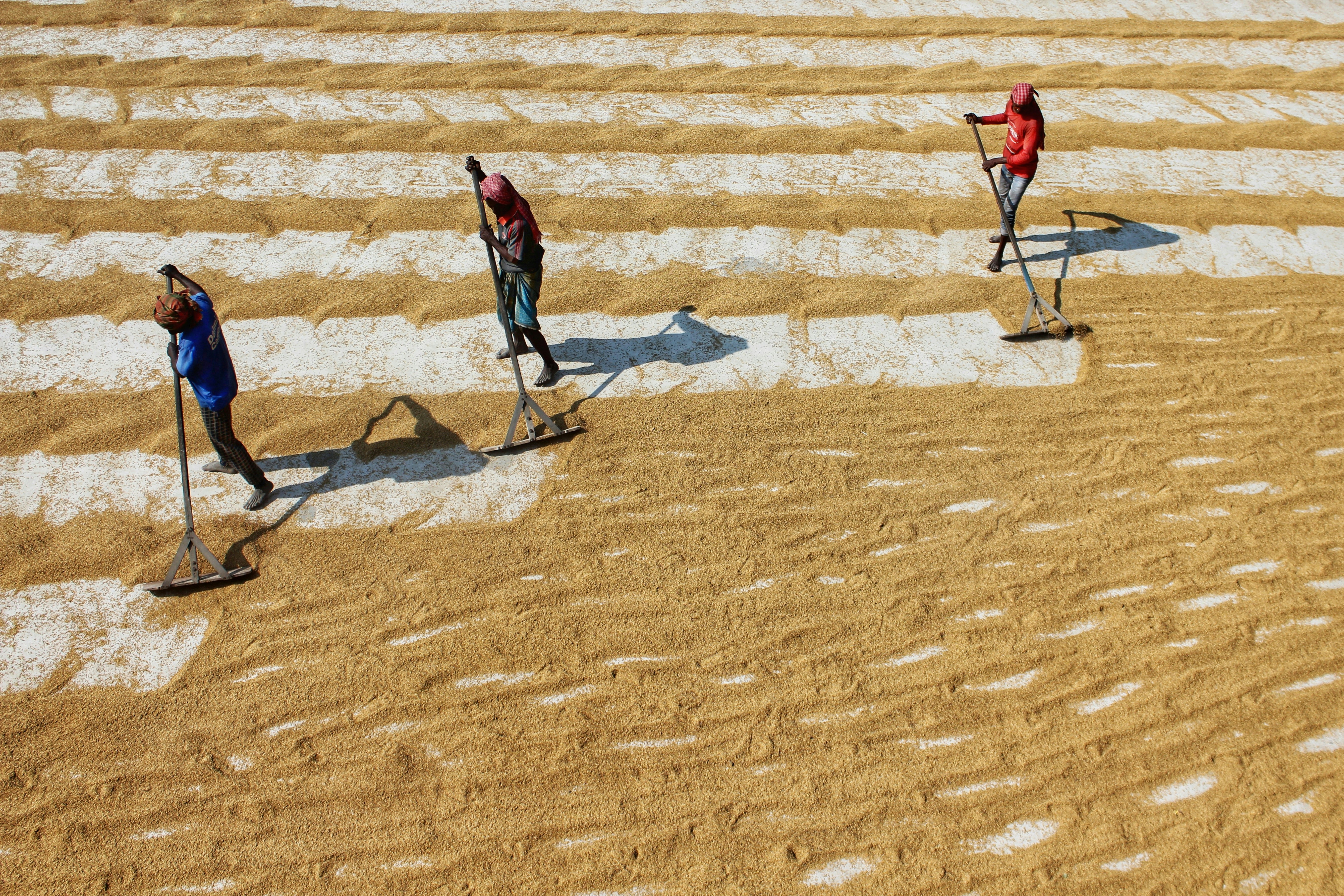 Photo by dibakar16roy