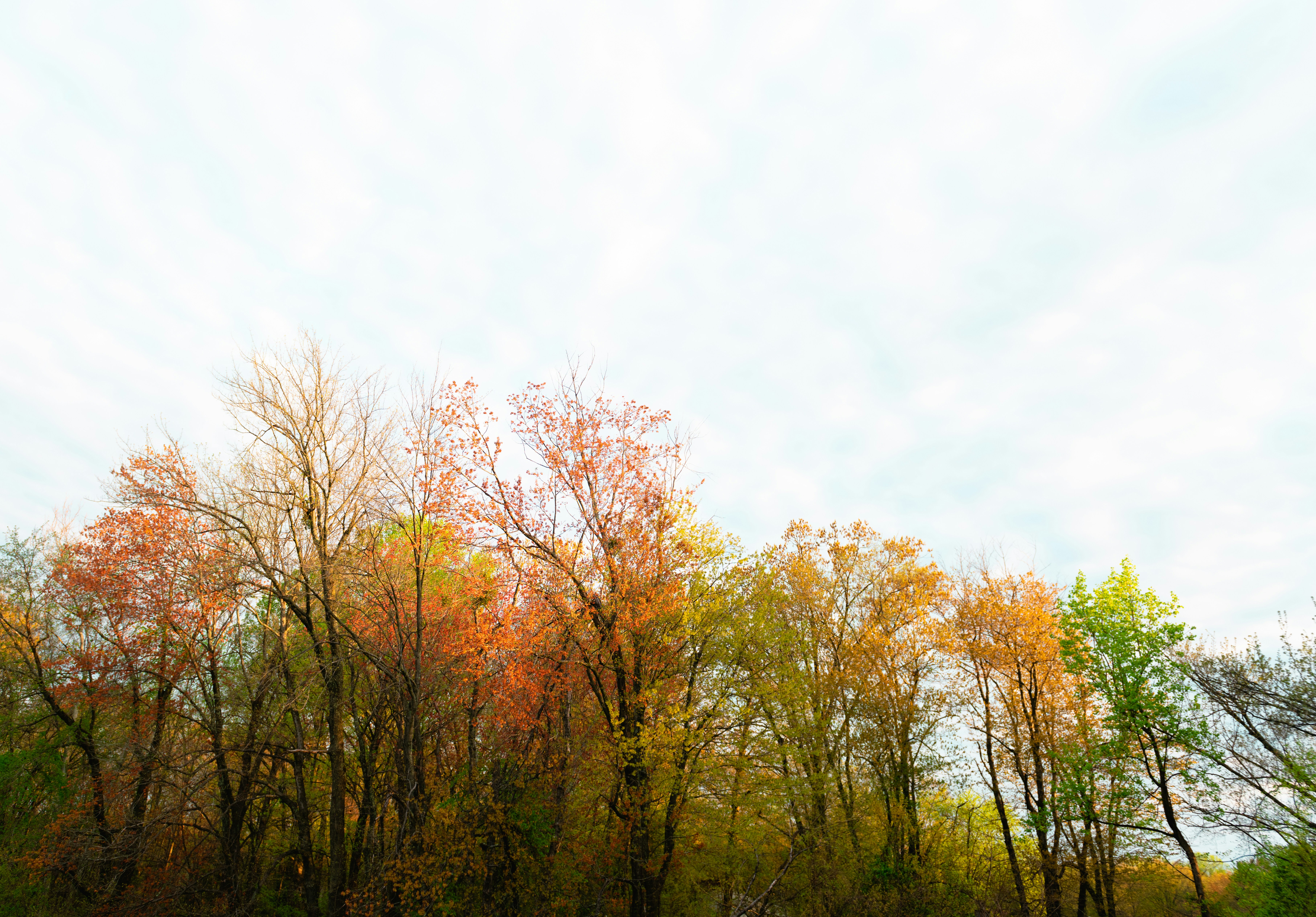 Photo by sriniunsplash