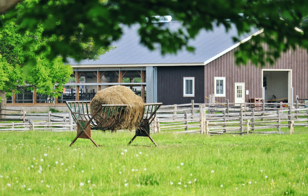 brown wooden fence on green grass field during daytime