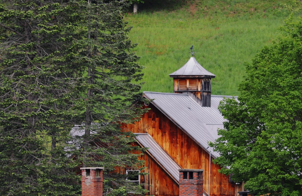 brown wooden house in the middle of forest