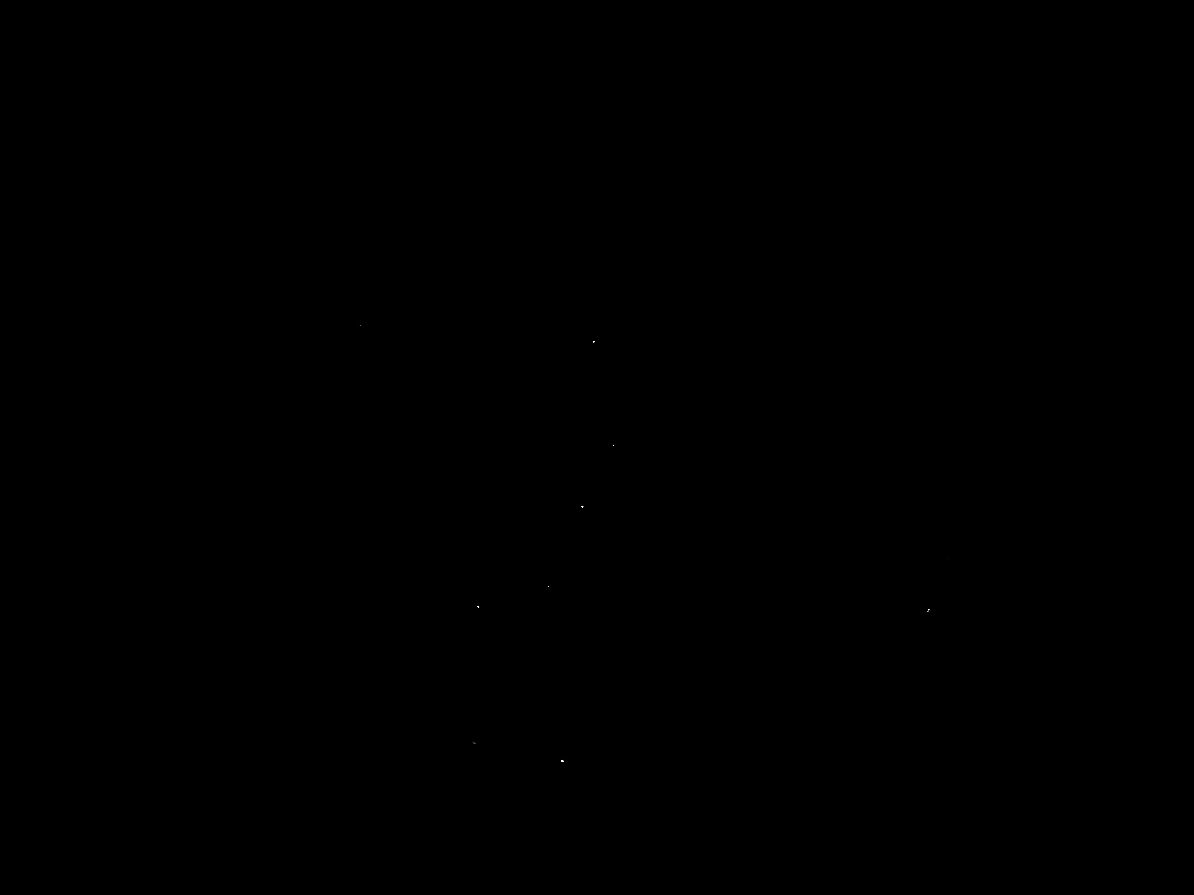 ZT Fusion Star Hoodie