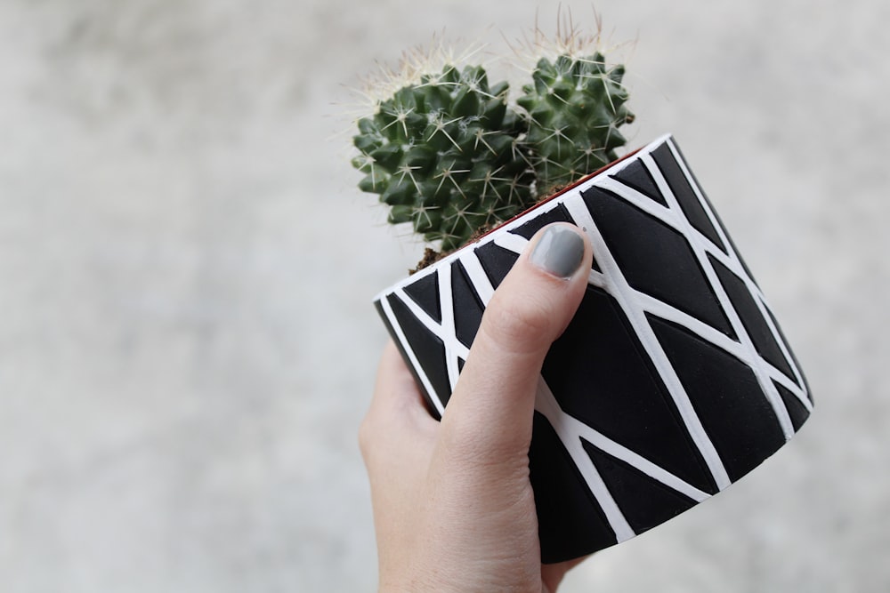 person holding black and white book