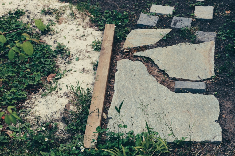 brown wooden plank on gray concrete floor