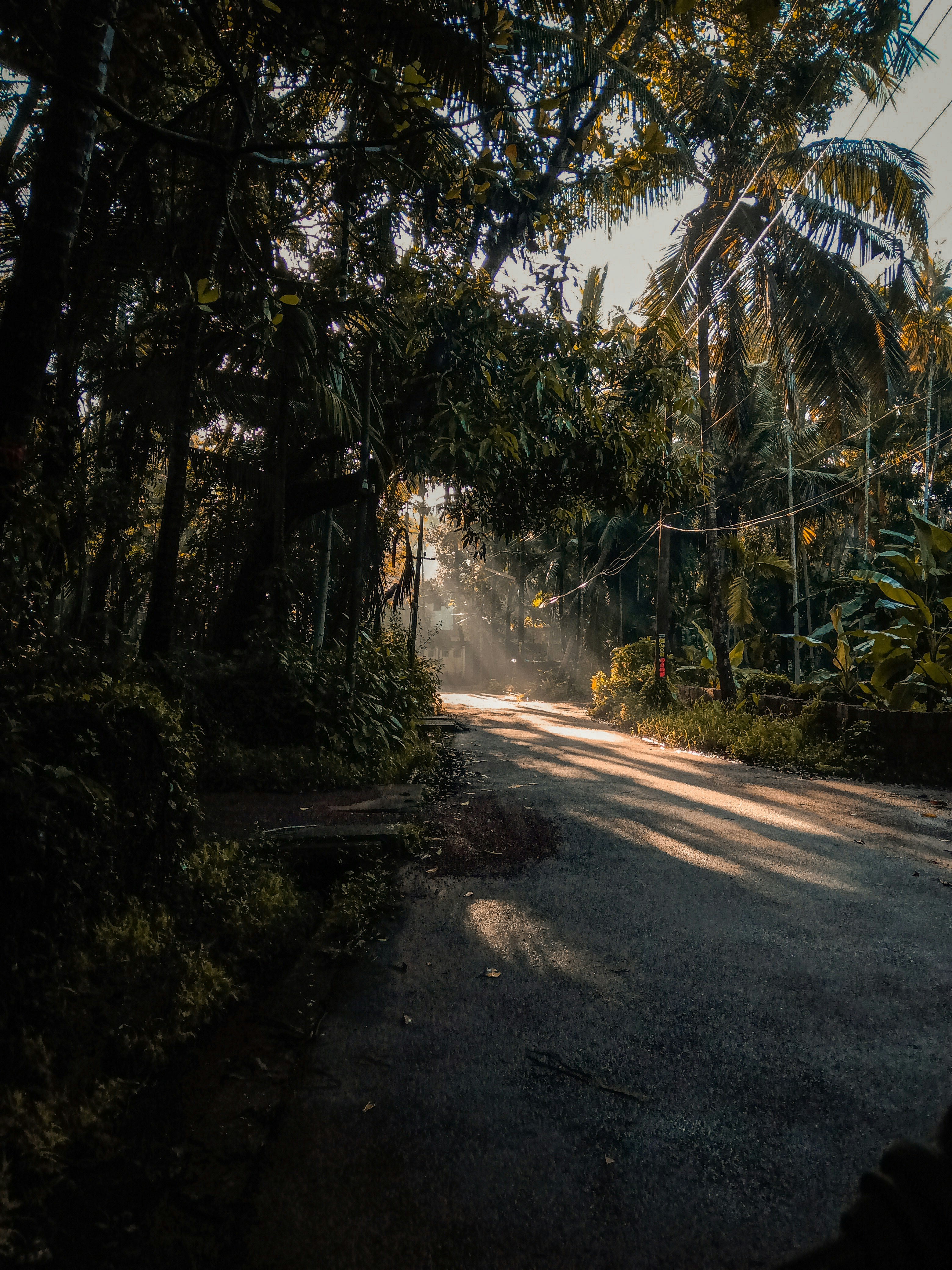 Photo by hrishikeshck