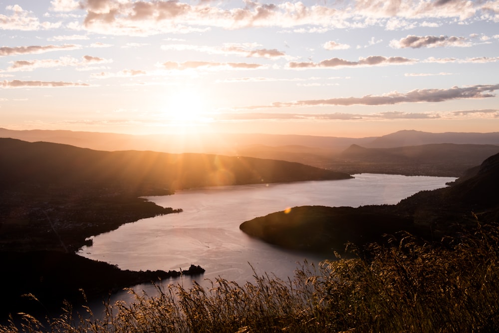 herbe verte près du plan d’eau au coucher du soleil