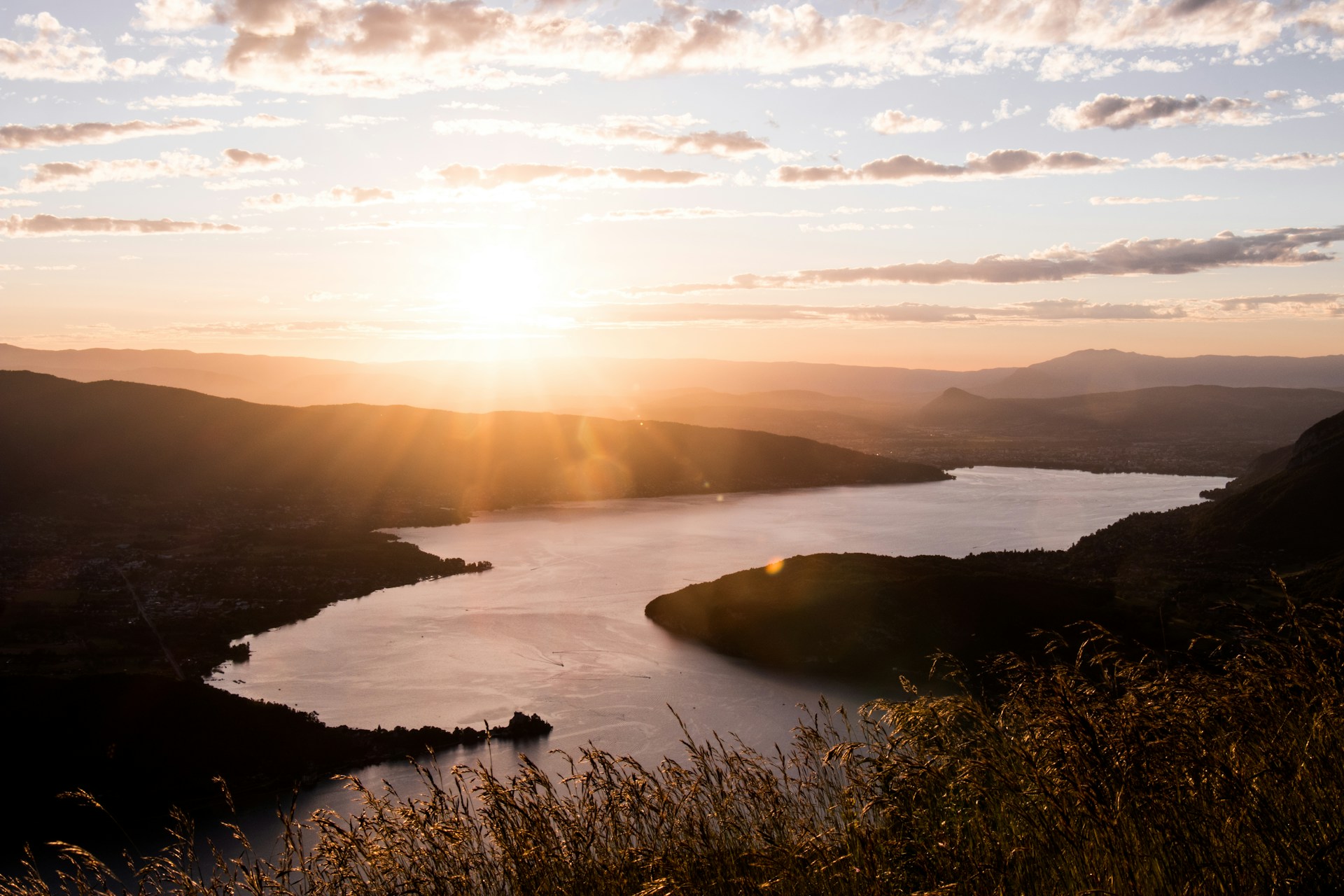 green grass near body of water during sunset