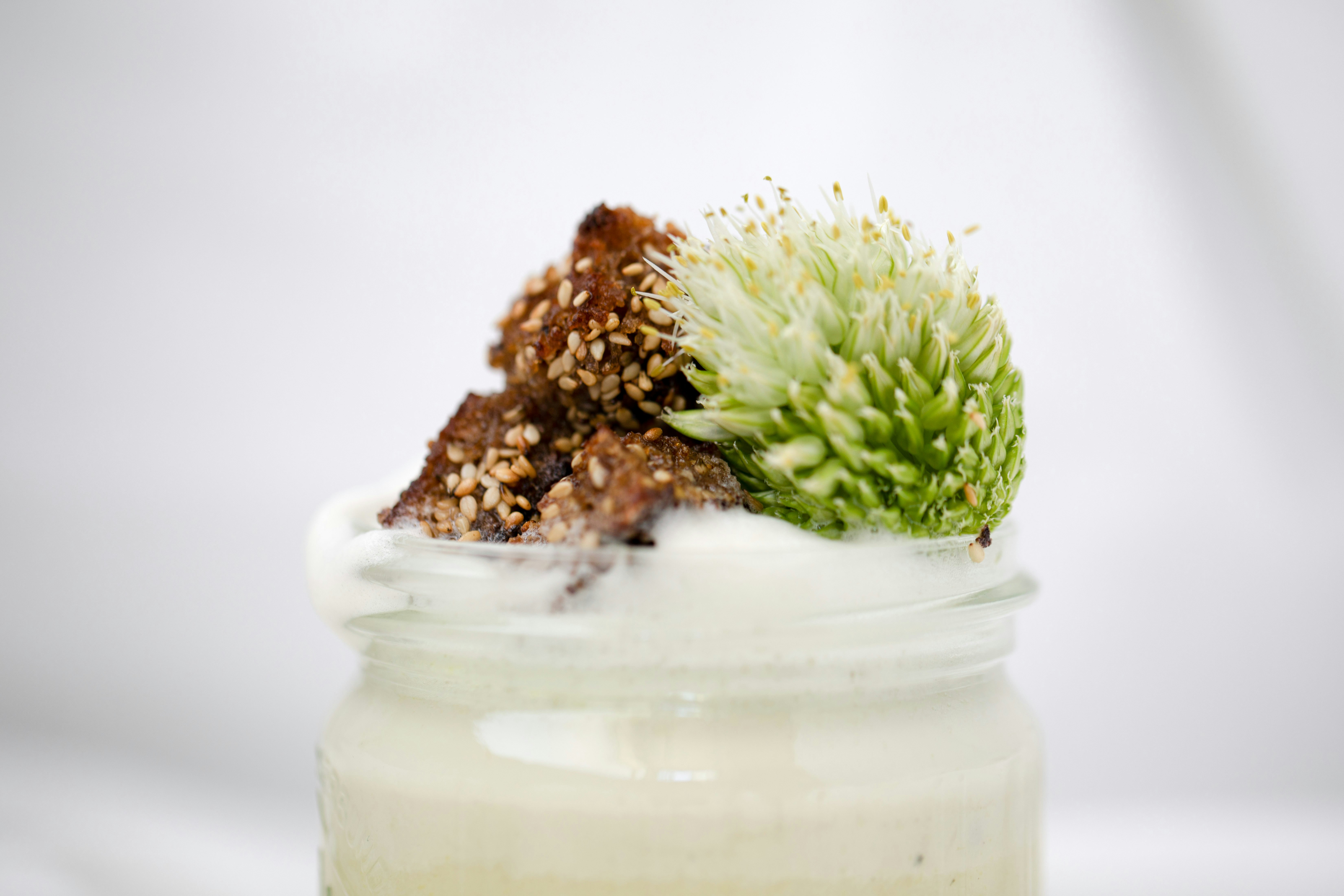 green plant in white ceramic jar