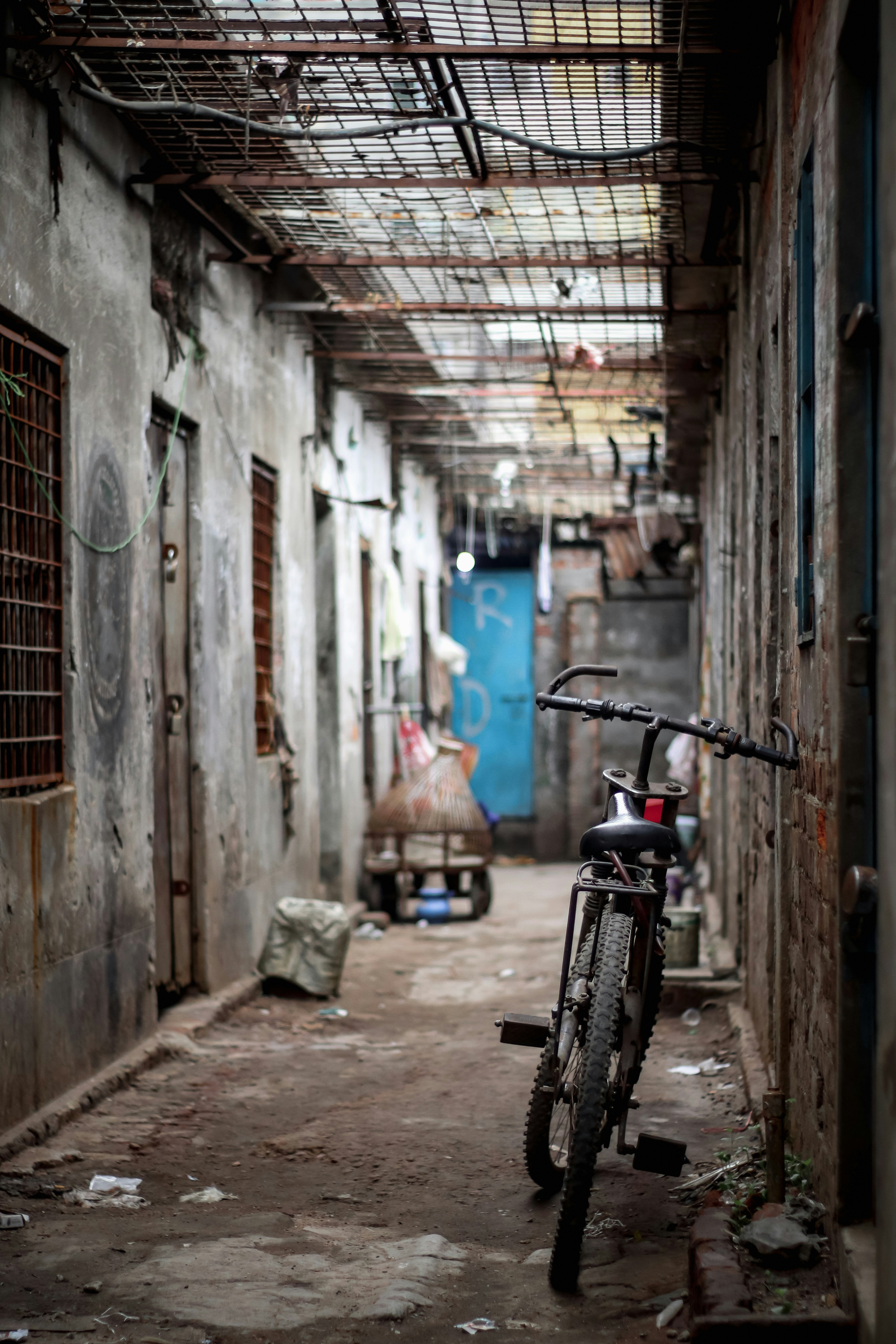 Photo by mohammad_samir