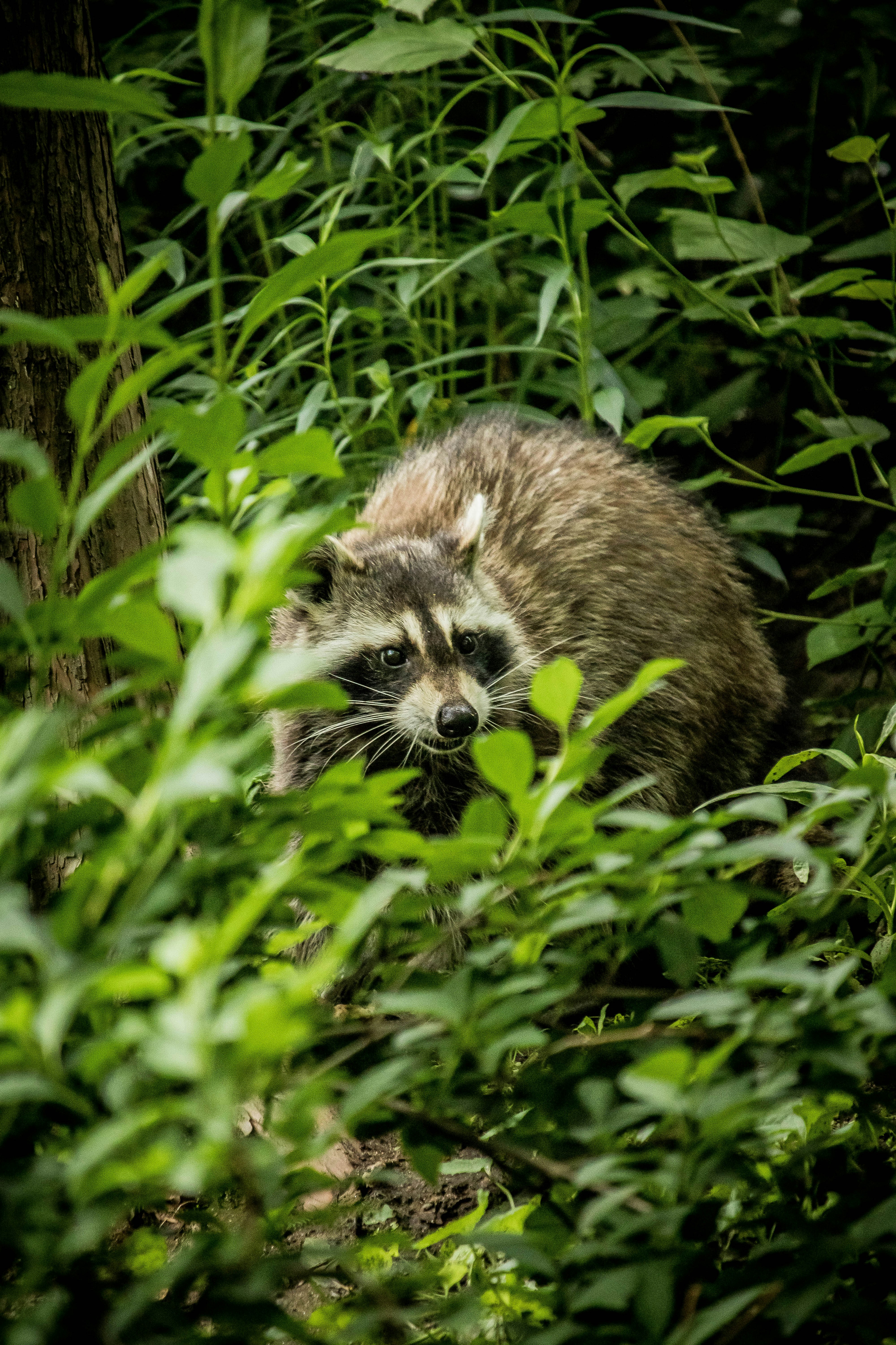 Photo by chrislevn07