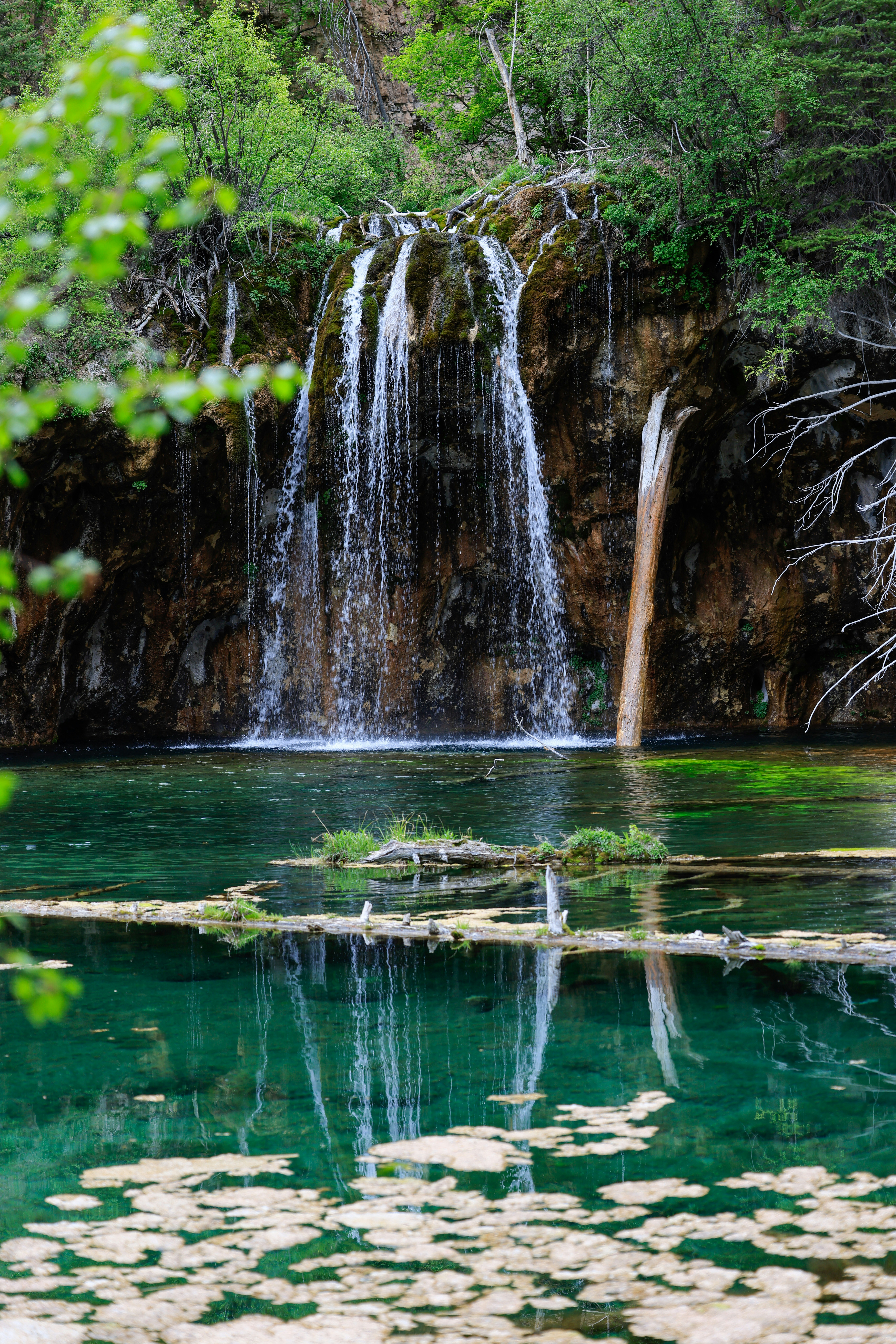 Photo by abhimanyu67